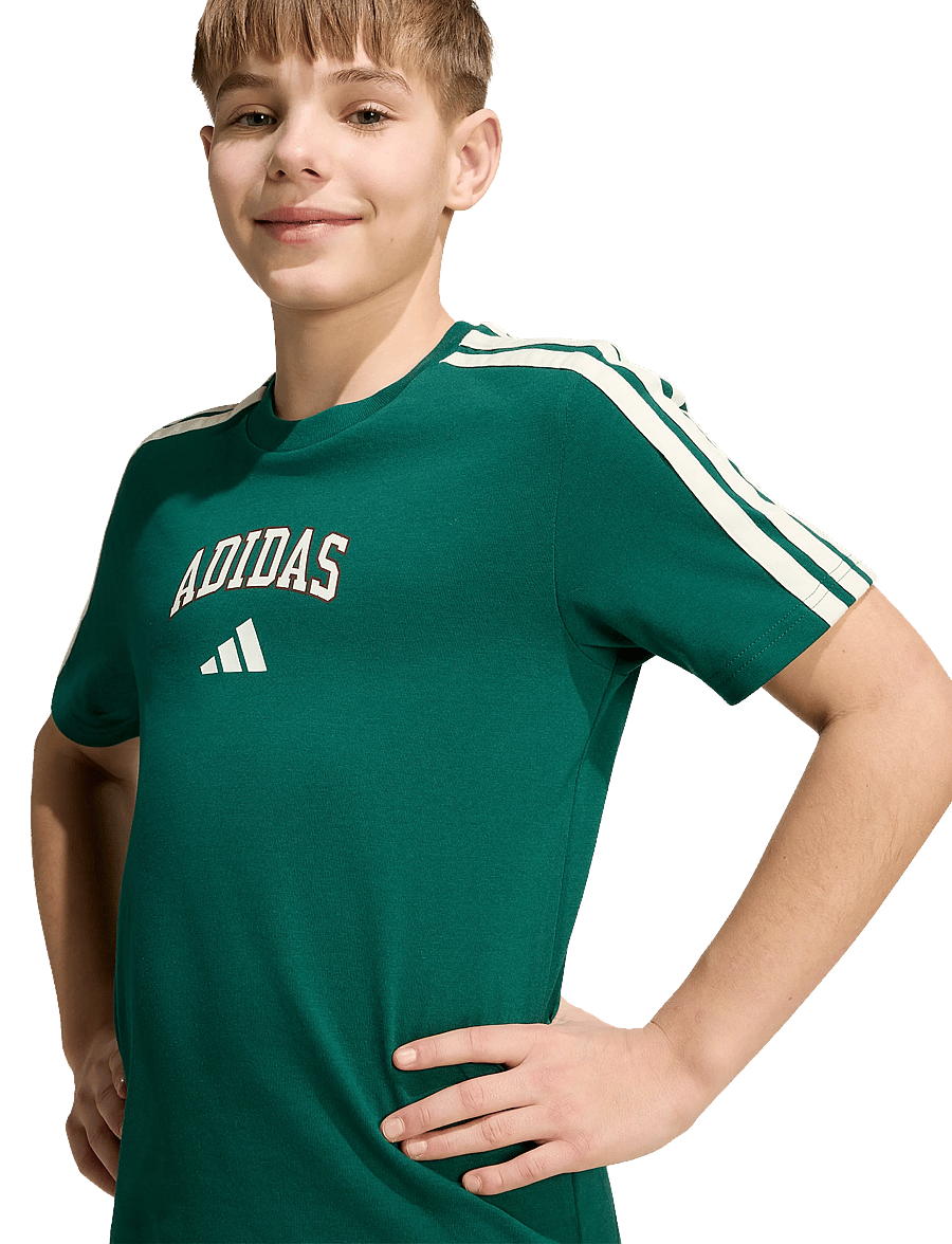 adidas Sportswear - J COLLEG T - sportstoppe - cgreen - 5