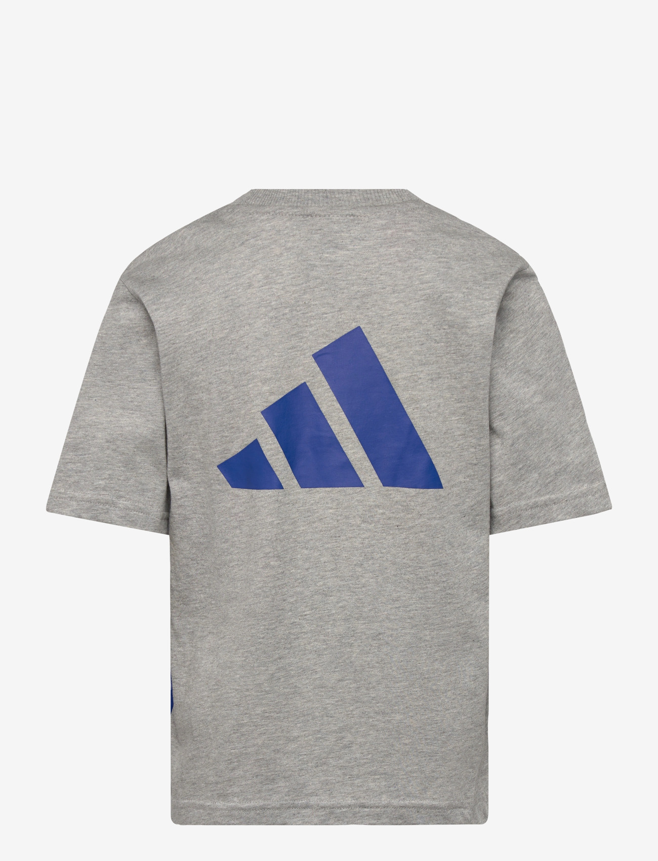 adidas Sportswear - J  CB T - kortærmede t-shirts - mgreyh/royblu/globlu - 1