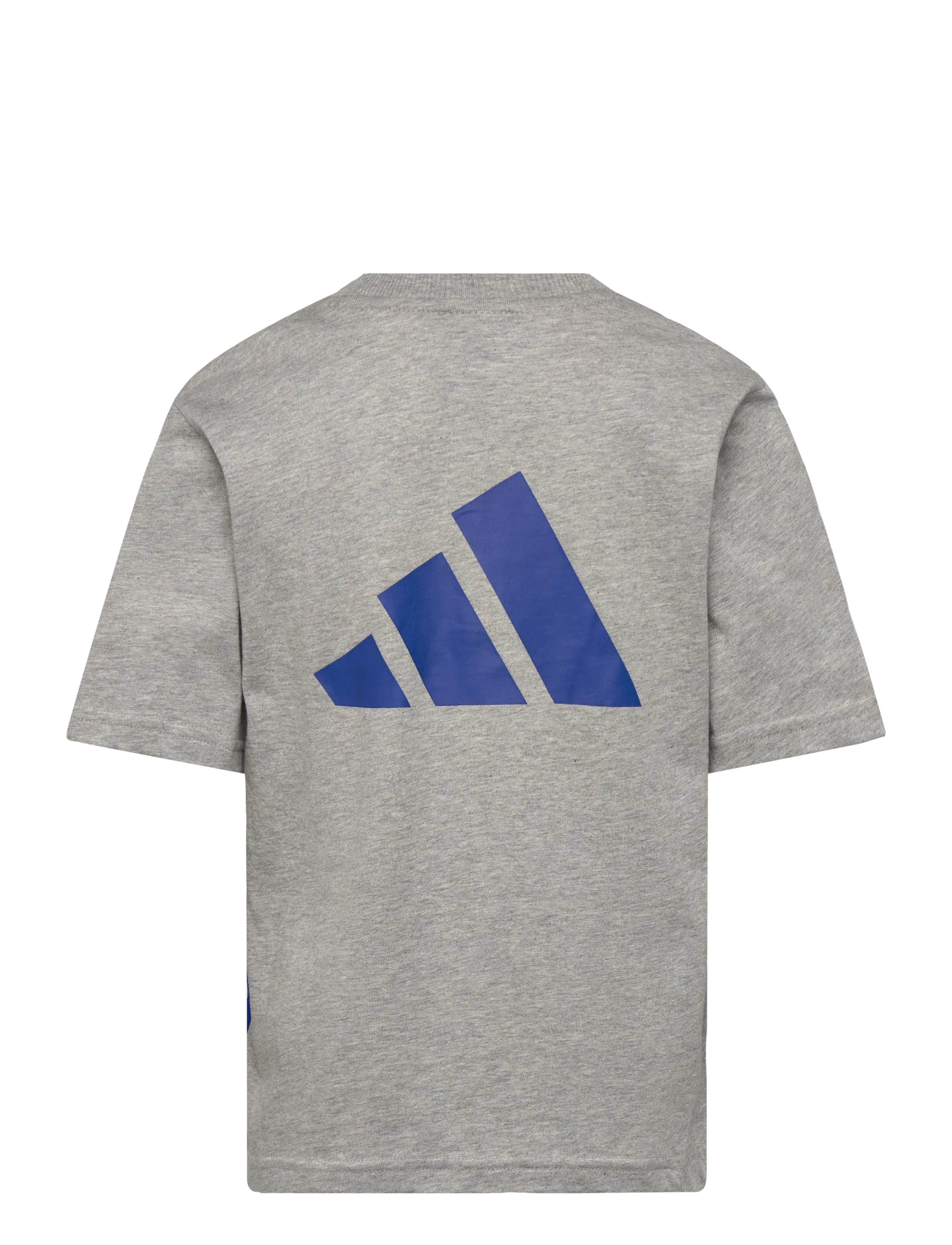 adidas Sportswear - J  CB T - lühikeste varrukatega t-särgid - mgreyh/royblu/globlu - 2