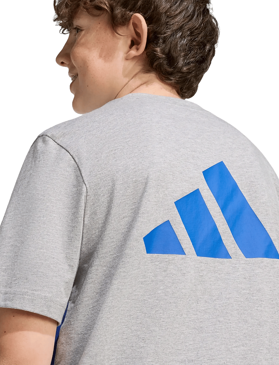 adidas Sportswear - J CB T - lühikeste varrukatega t-särgid - mgreyh/royblu/globlu - 5