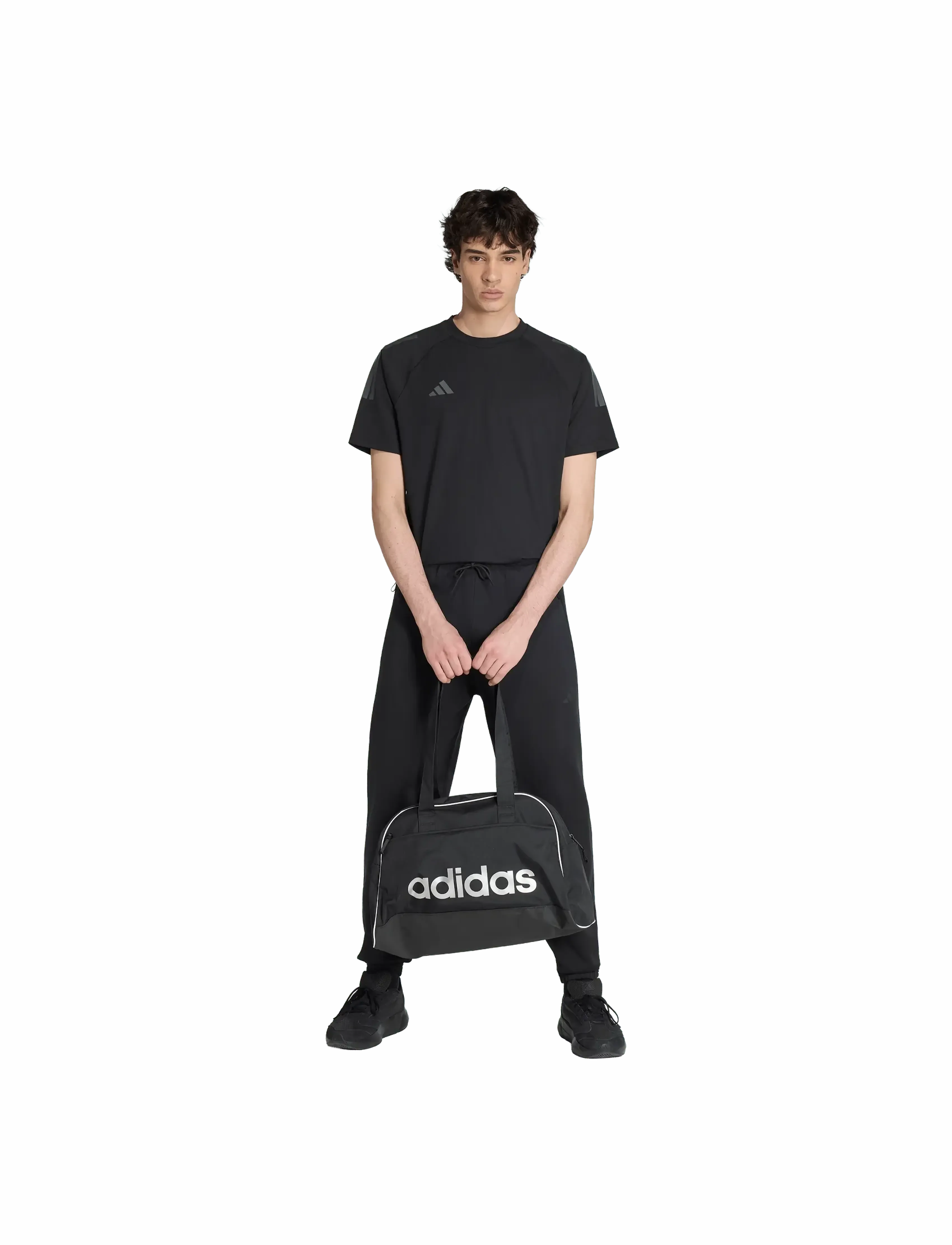 M Z.n.e. Pt