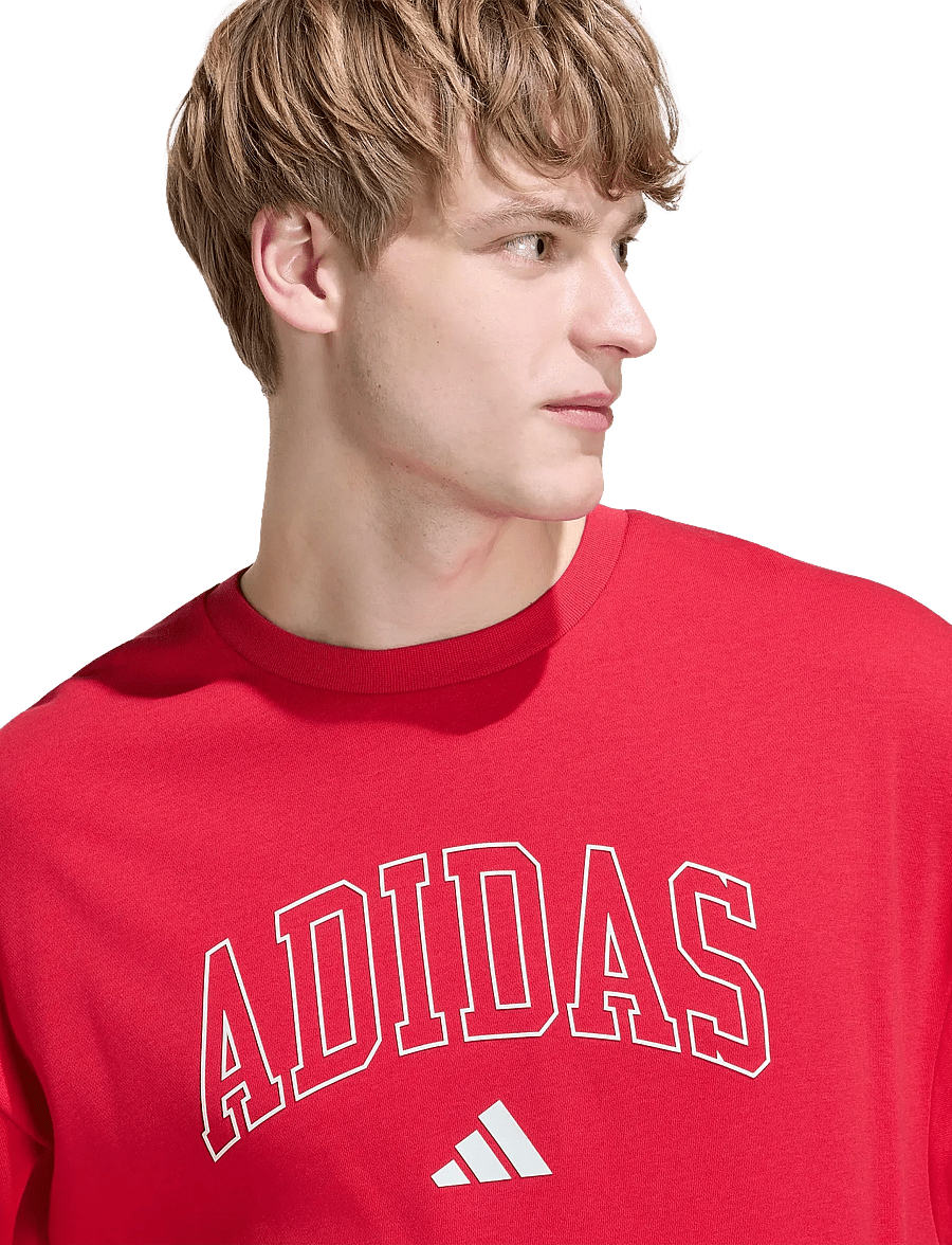 adidas Sportswear - M COLL FT CRW - oberteile - purrub/ivory - 5