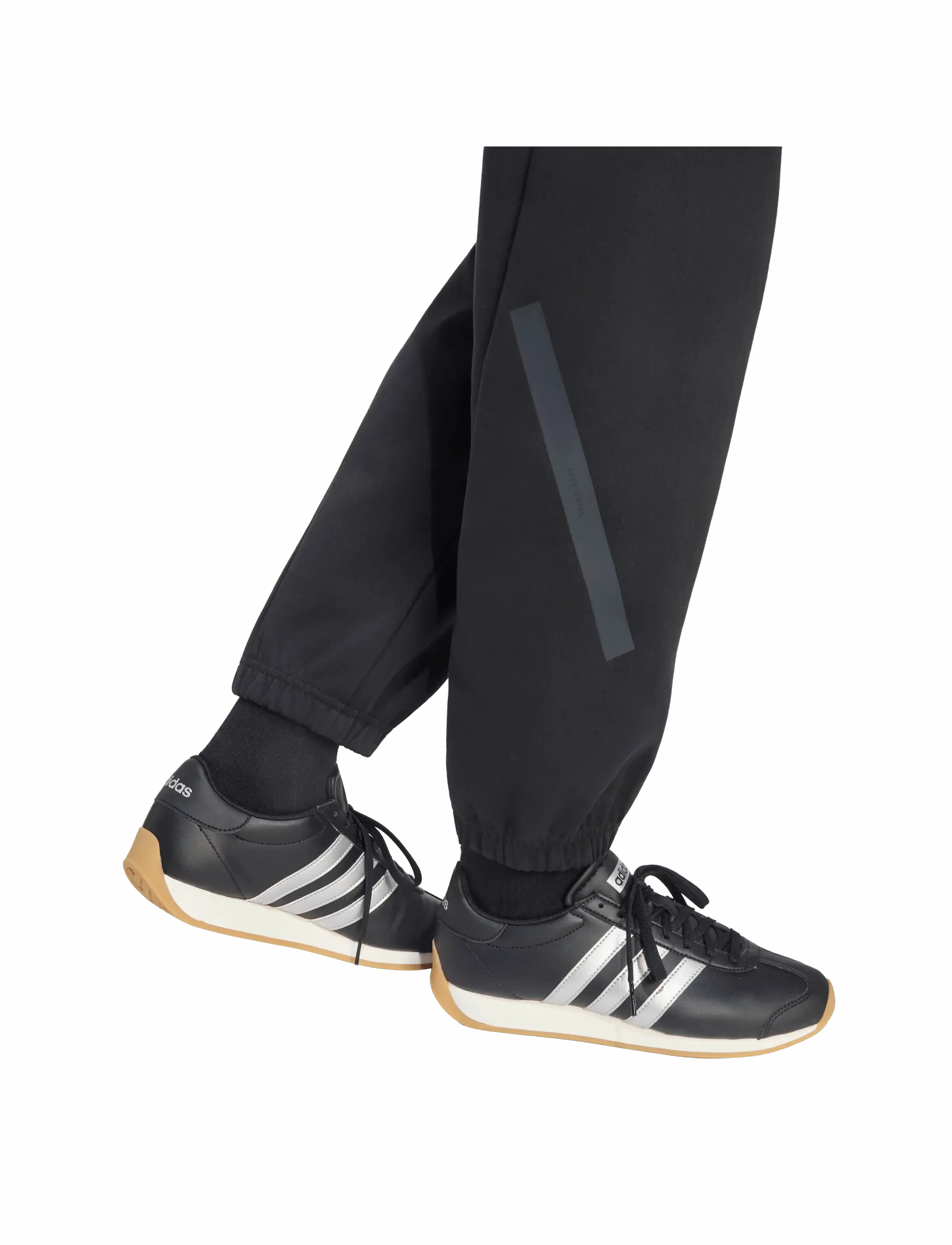 W Z.n.e. Pt 4