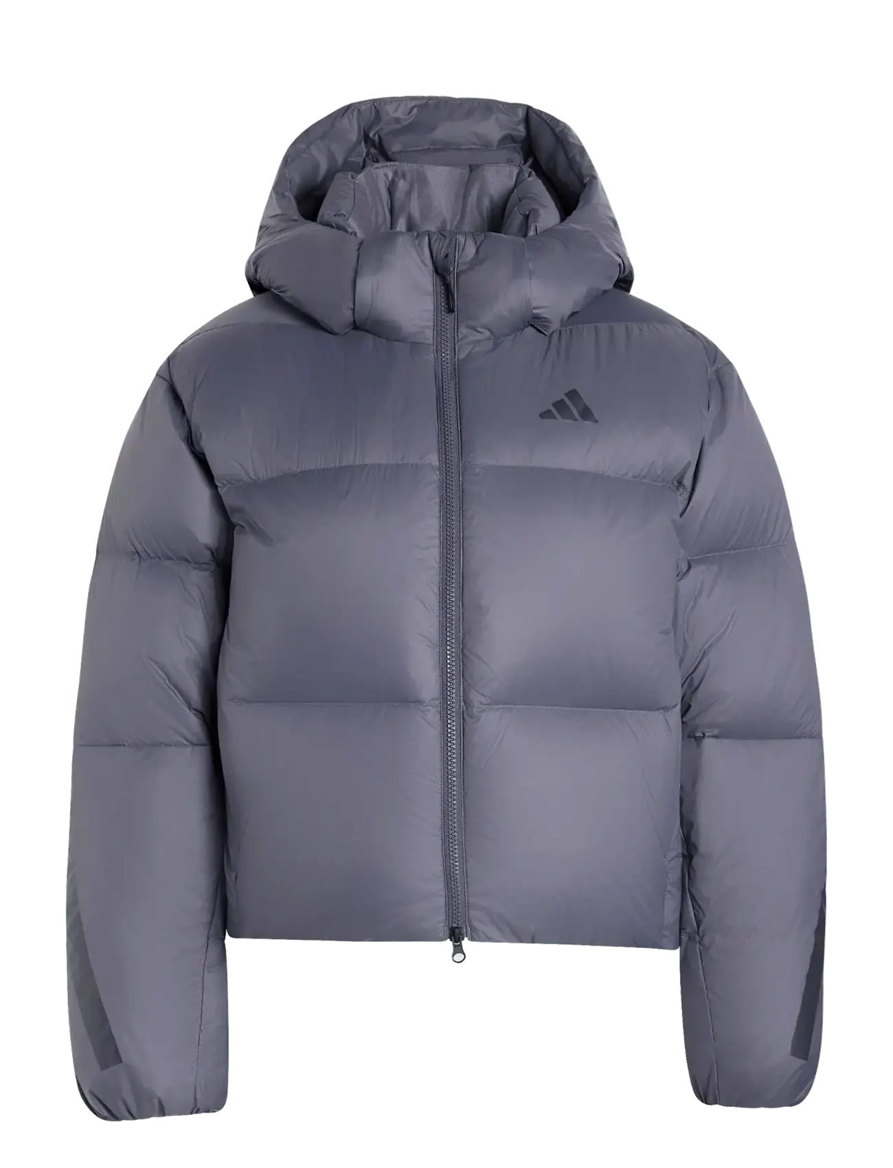 adidas Sportswear W Z.N.E. PUFFER - Joped - AUON / grey