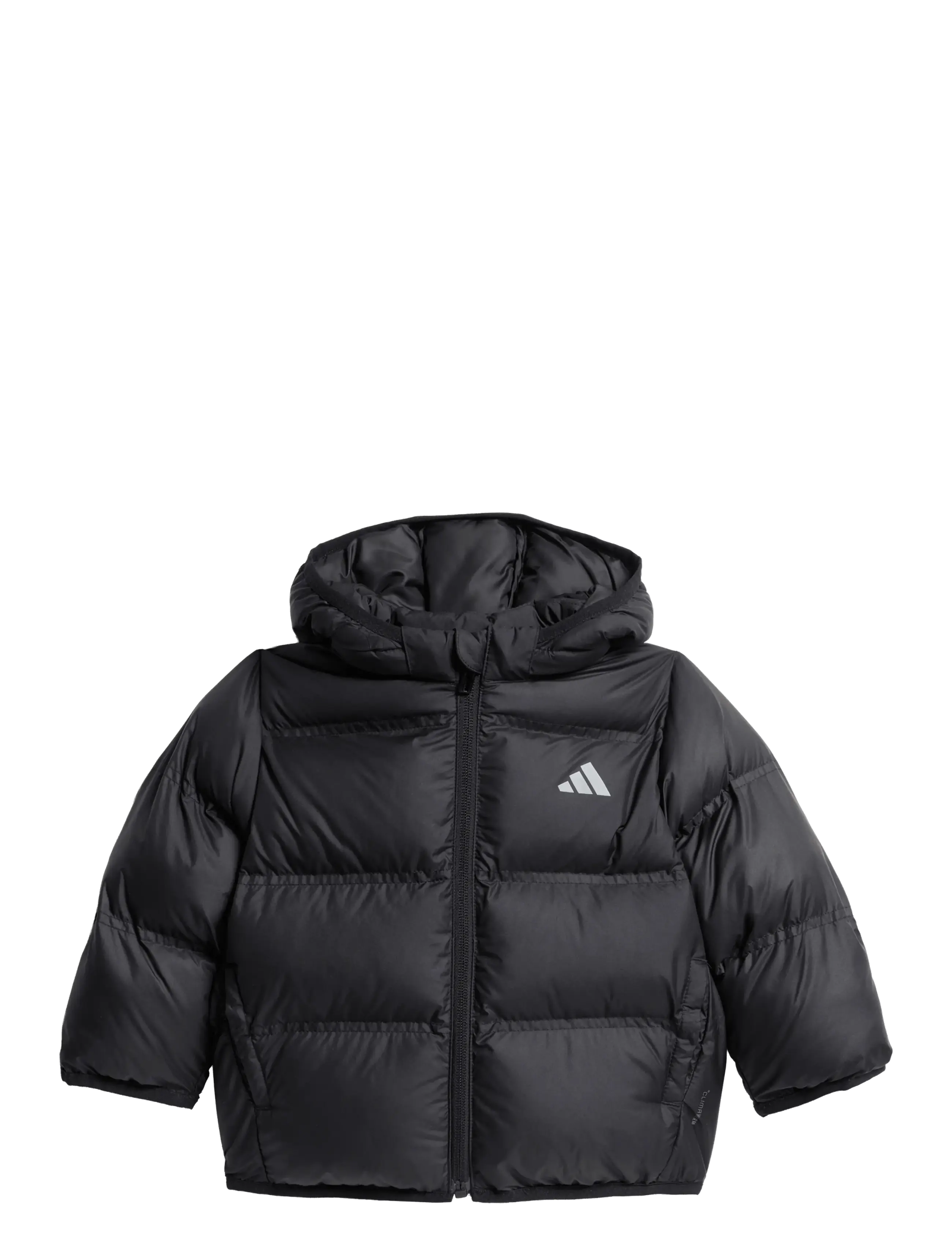 adidas Sportswear I SD JKT - Vinterkläder - BLACK/REFSIL / black