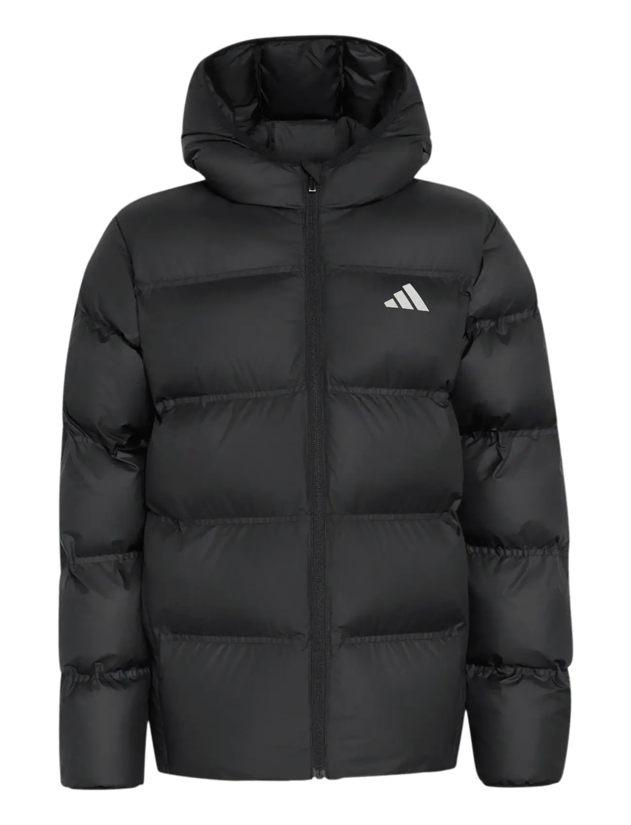 adidas Sportswear J SD JKT - Dunjackor & Fodrade jackor - BLACK/REFSIL / black