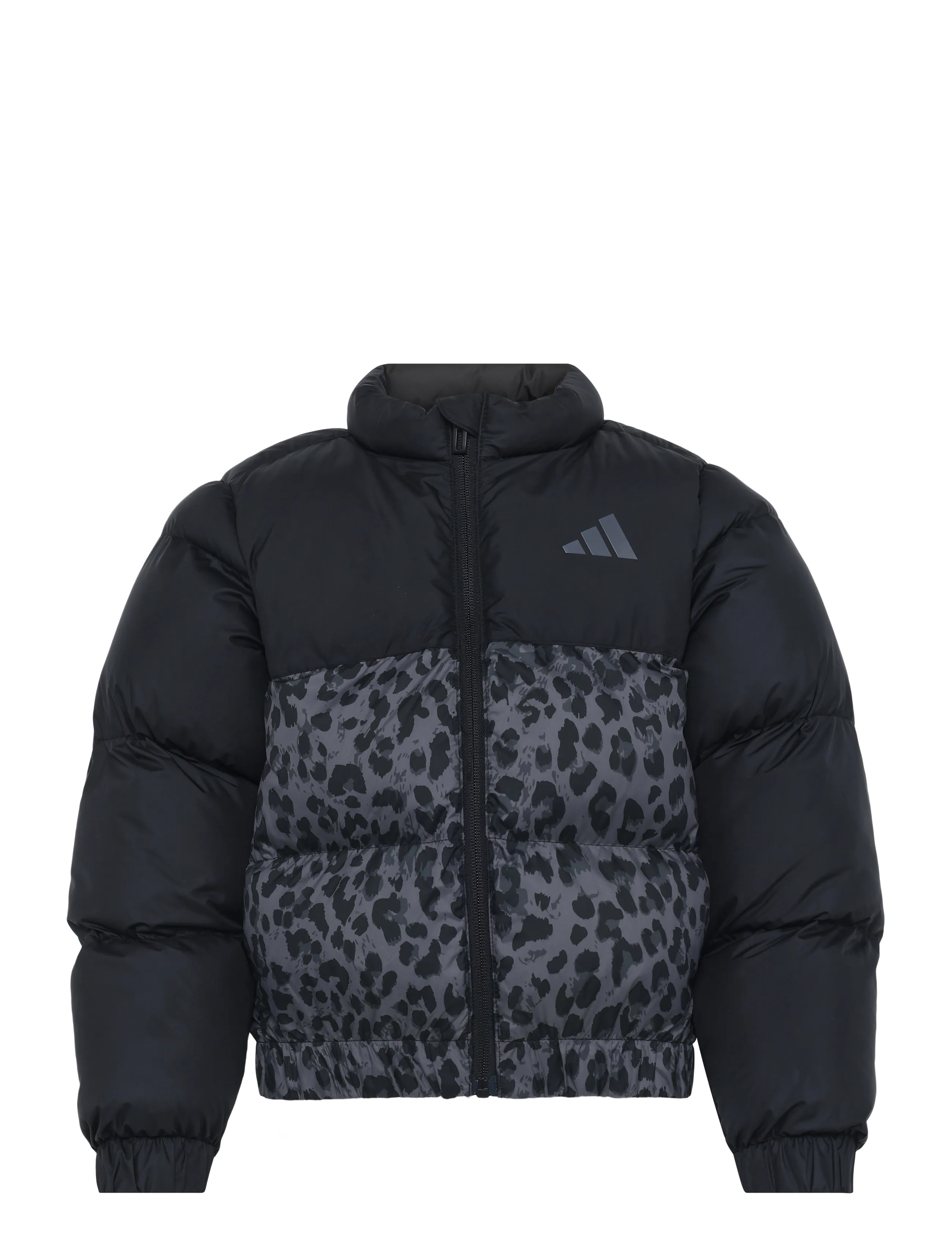 adidas Sportswear JG SD AOP JKT - adidas - BLACK/GREFOU/GRESIX/G / black