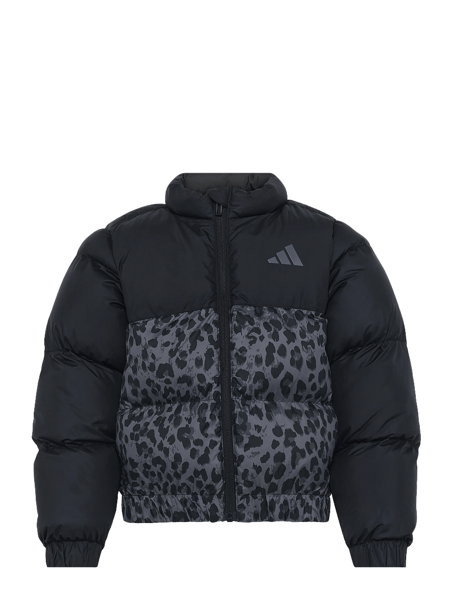 adidas Sportswear - JG SD AOP JKT - isolerade jackor - black/grefou/gresix/g - 1