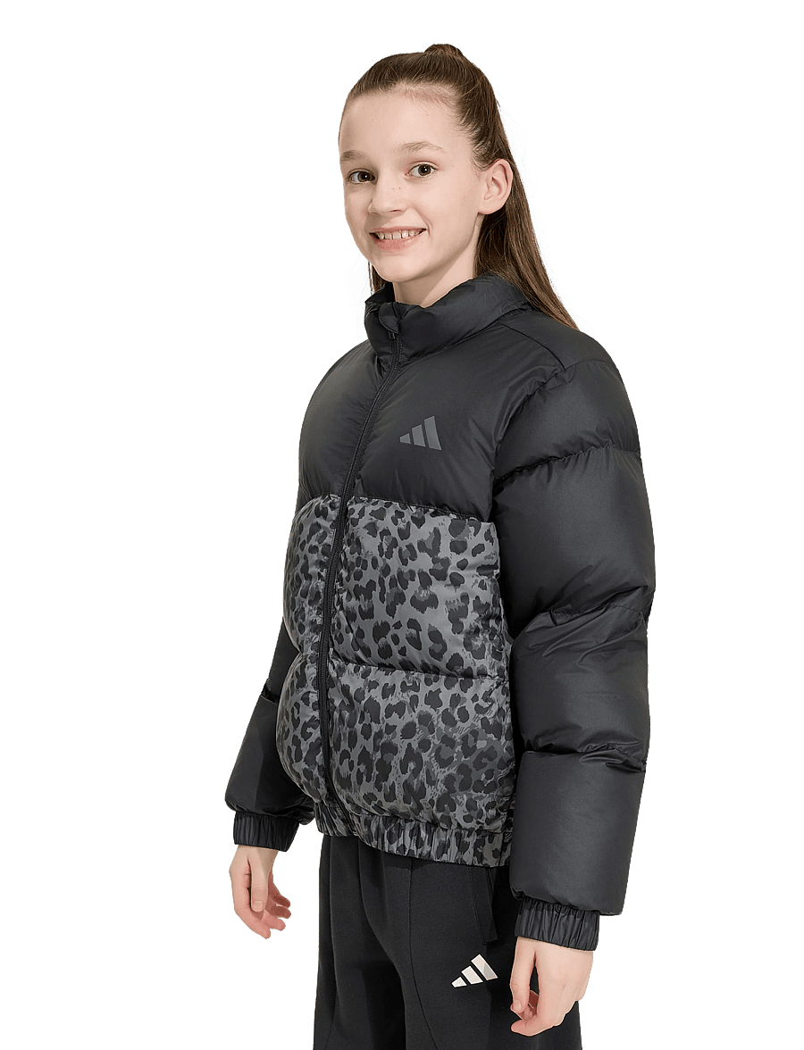 adidas Sportswear - JG SD AOP JKT - isolerede jakker - black/grefou/gresix/g - 2
