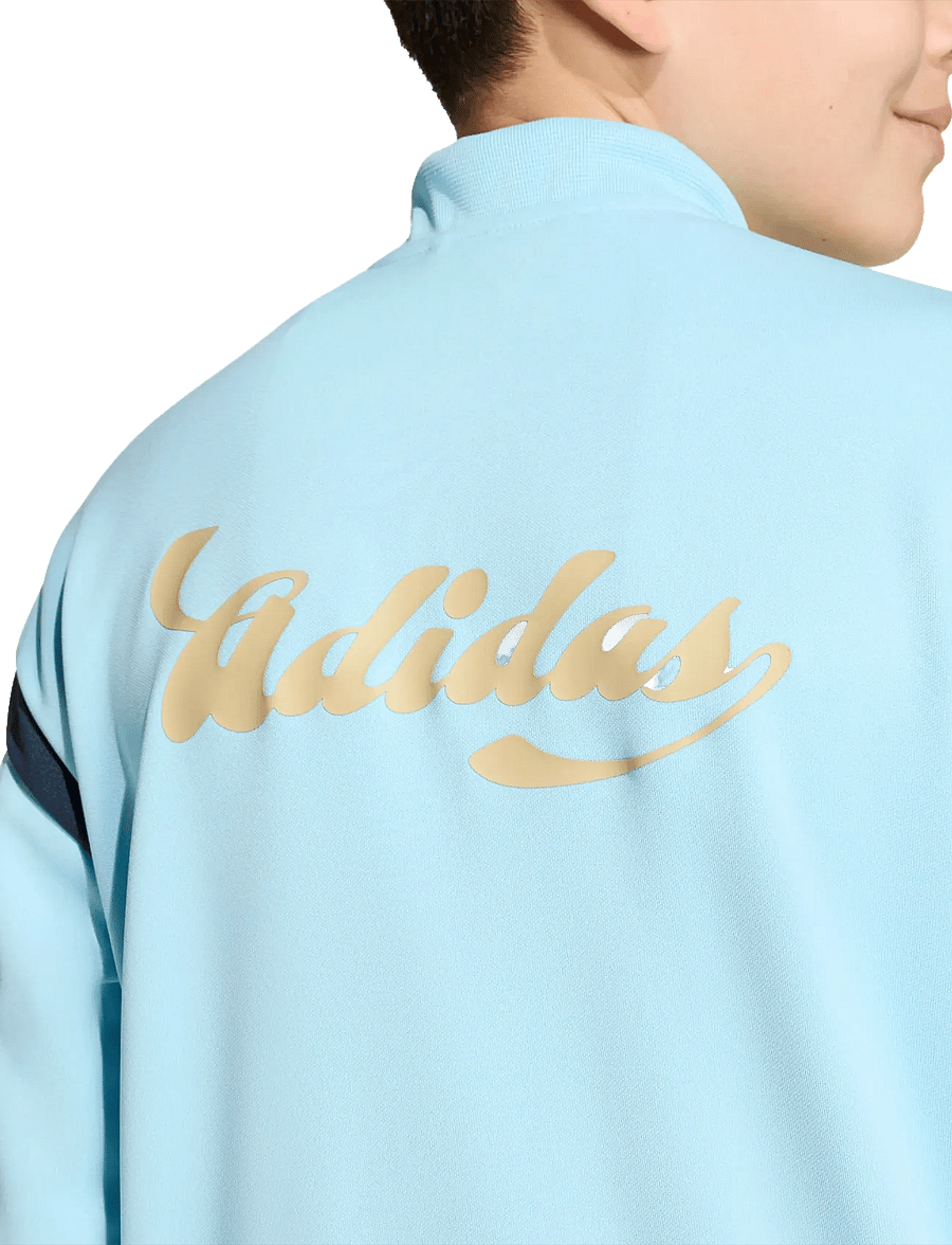 adidas Sportswear - J HOT TTOP - sweatshirts - iceblu/white/hazbei/n - 5