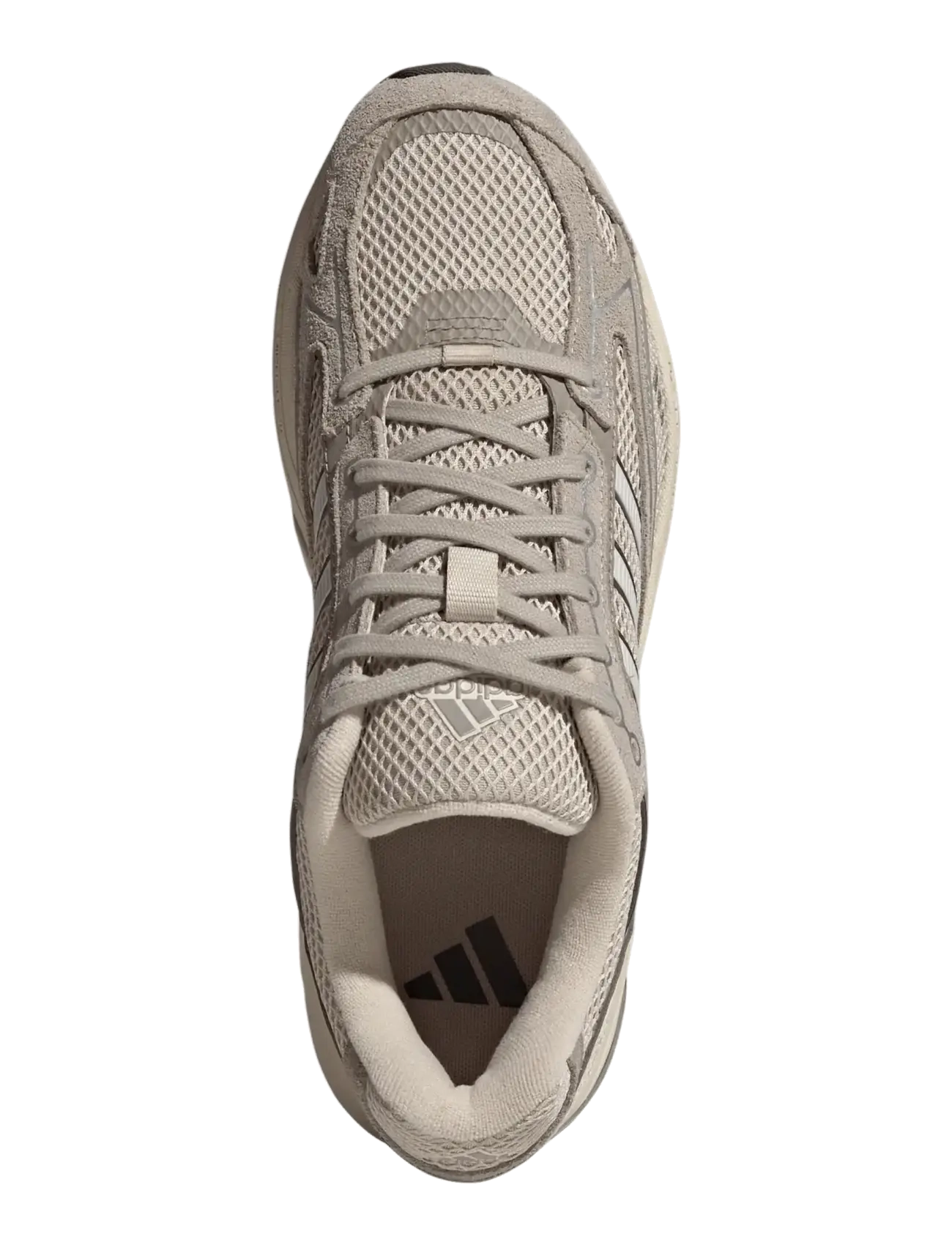 adidas Sportswear - SPIRITAIN 2000 - lave sneakers - crli/orbgry/msilve - 4