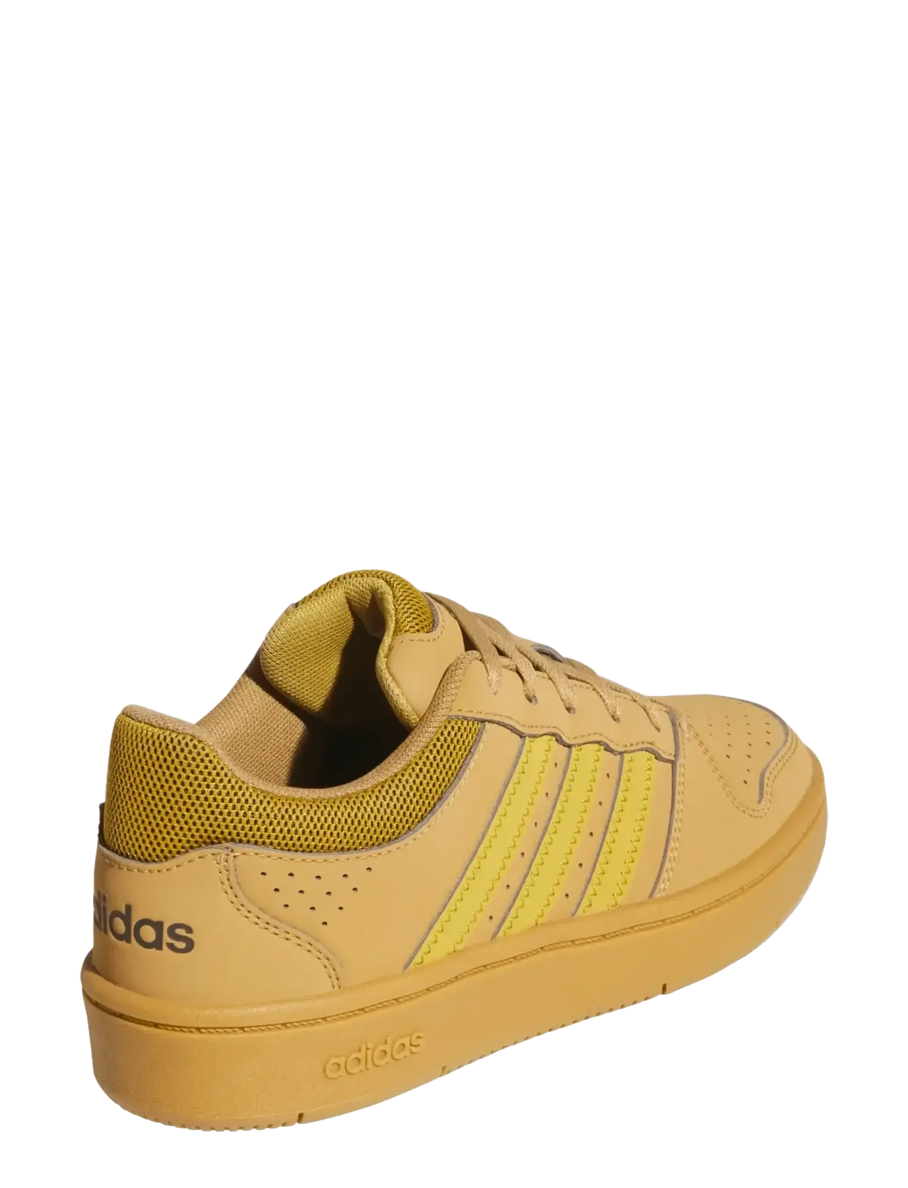 adidas Sportswear - HOOPS CLASSIC J - lave sneakers - mesa/vicgol/auco - 3