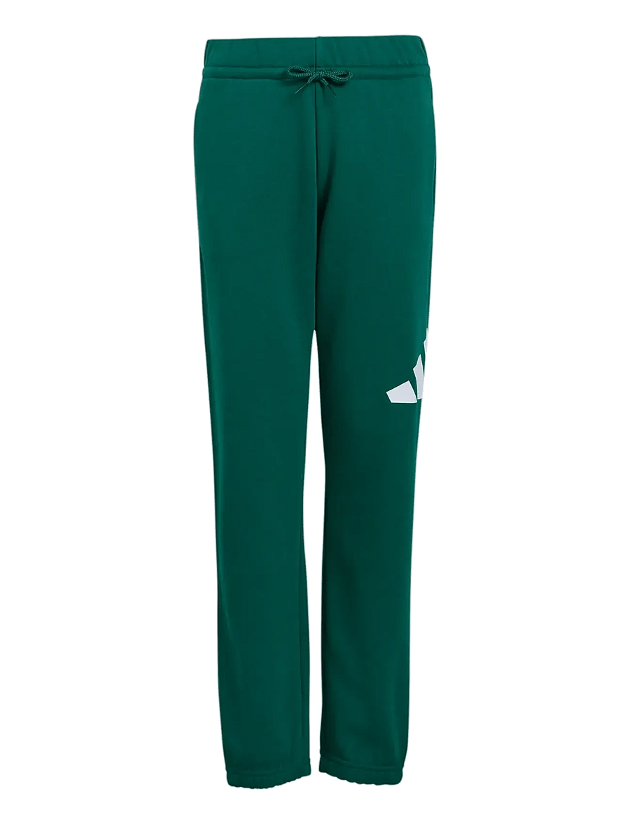 adidas Sportswear - J BL FT PT 280 - dressipüksid - cgreen/white - 0