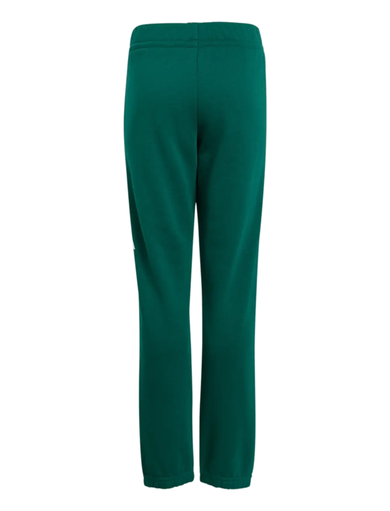 adidas Sportswear - J BL FT PT 280 - dressipüksid - cgreen/white - 1