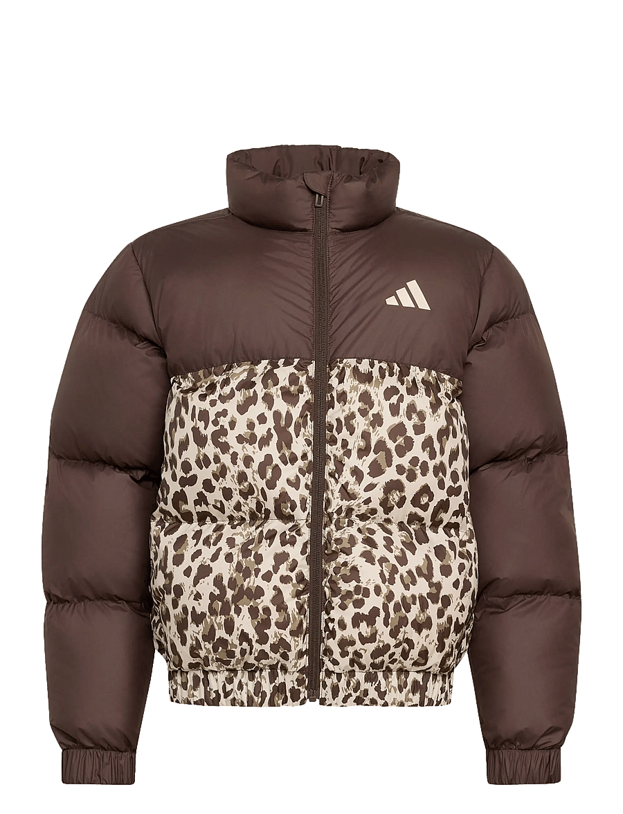 adidas Sportswear - JG SD AOP JKT - isolerede jakker - dbrown/crli/khasix/cr - 1