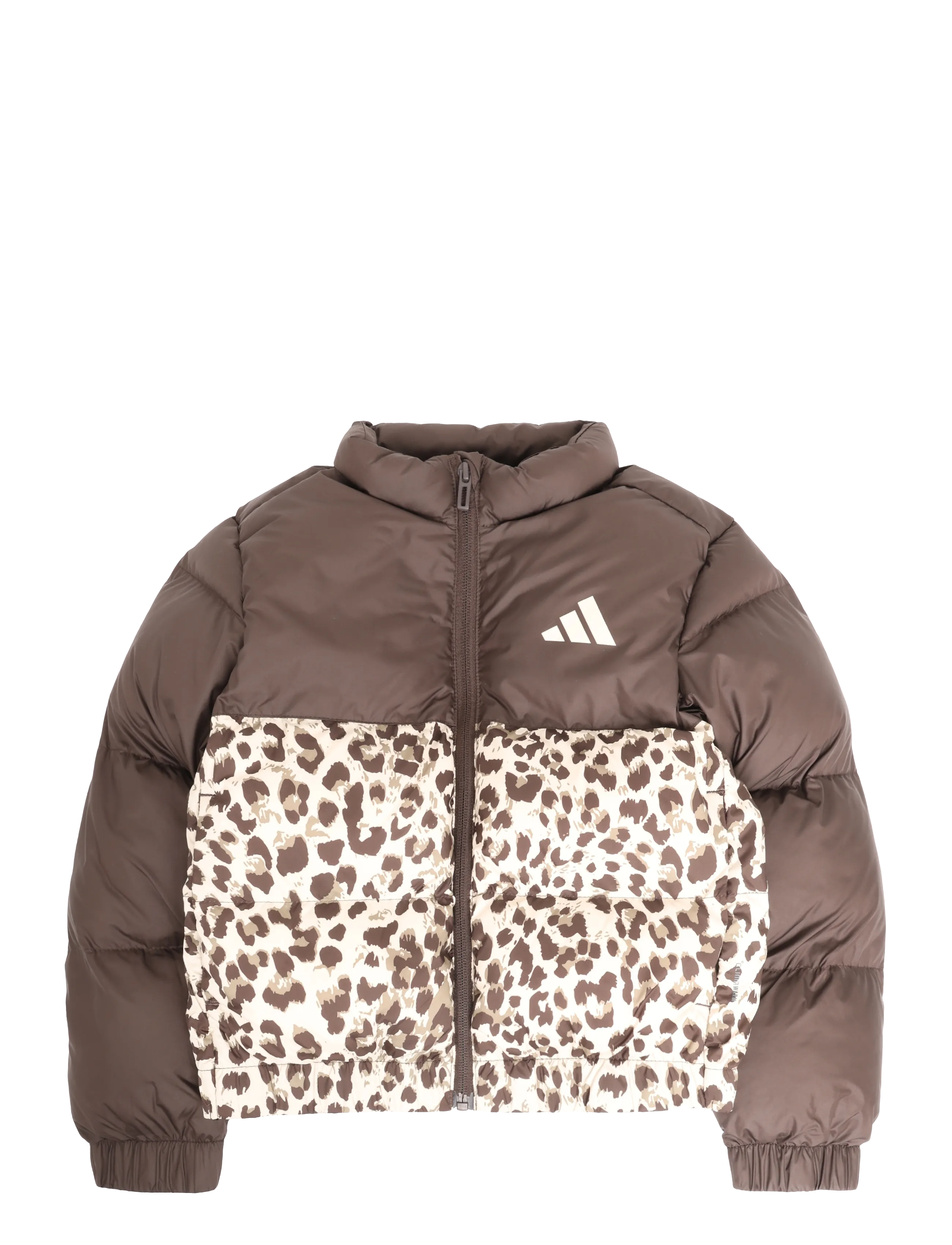 adidas Sportswear JG SD AOP JKT - Alles anzeigen - DBROWN/CRLI/KHASIX/CR / brown
