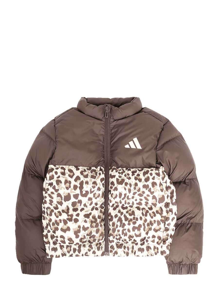 adidas Sportswear - JG SD AOP JKT - geïsoleerde jassen - dbrown/crli/khasix/cr - 1