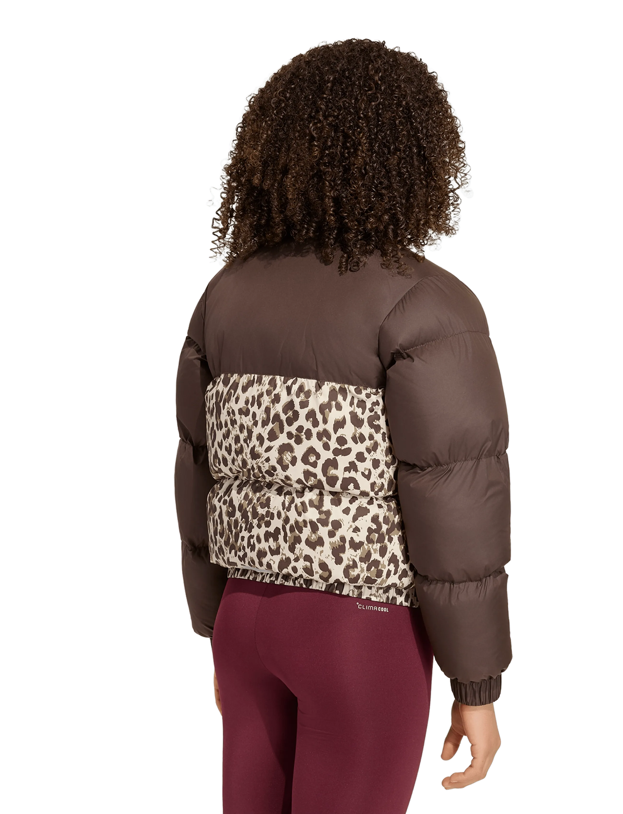 adidas Sportswear - JG SD AOP JKT - isolerede jakker - dbrown/crli/khasix/cr - 5