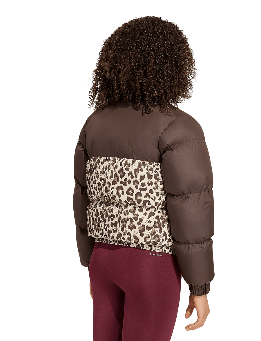 adidas Sportswear - JG SD AOP JKT - isolerede jakker - dbrown/crli/khasix/cr - 5