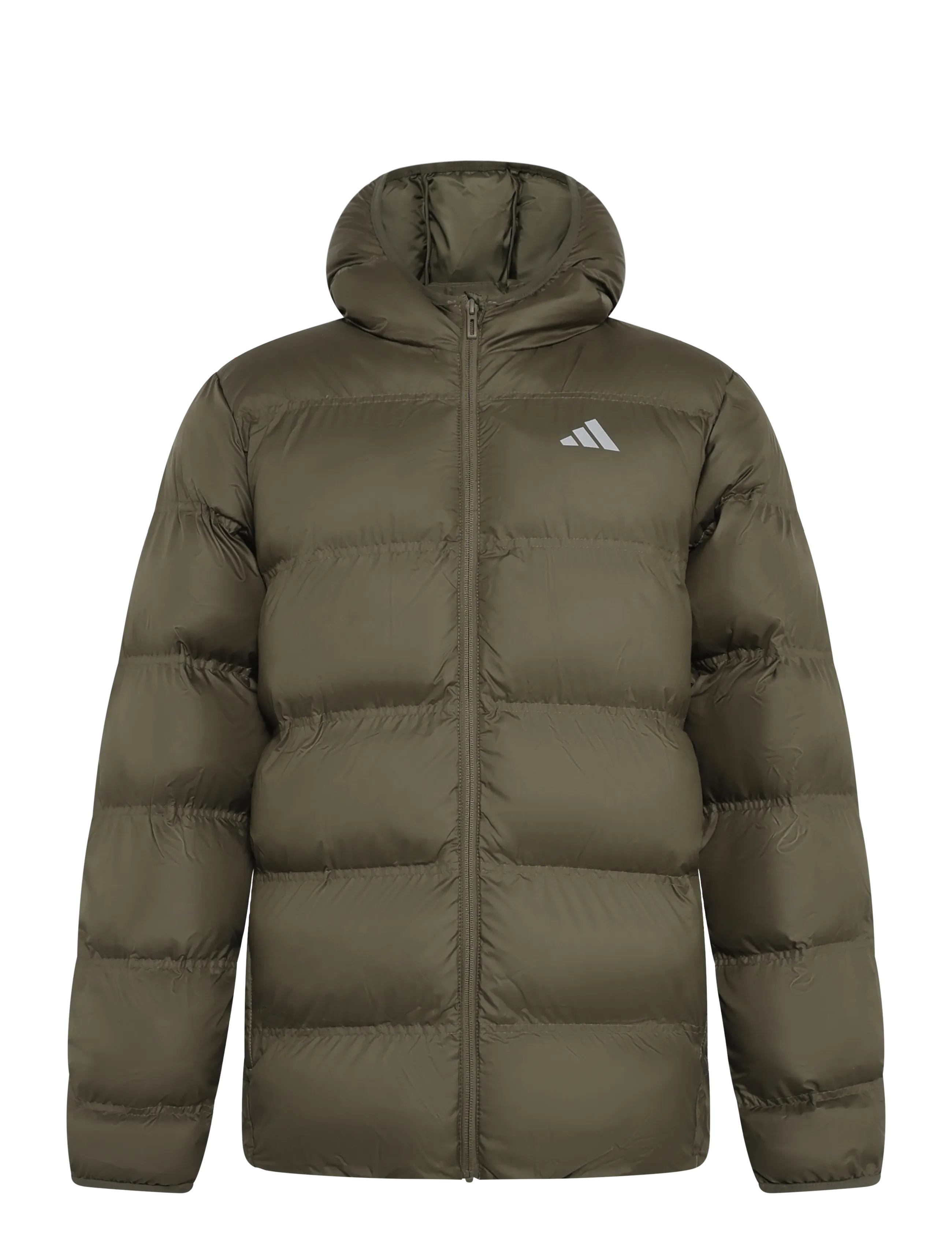 adidas Sportswear J SD JKT - Overtøj - OLISTR/REFSIL / khaki/green