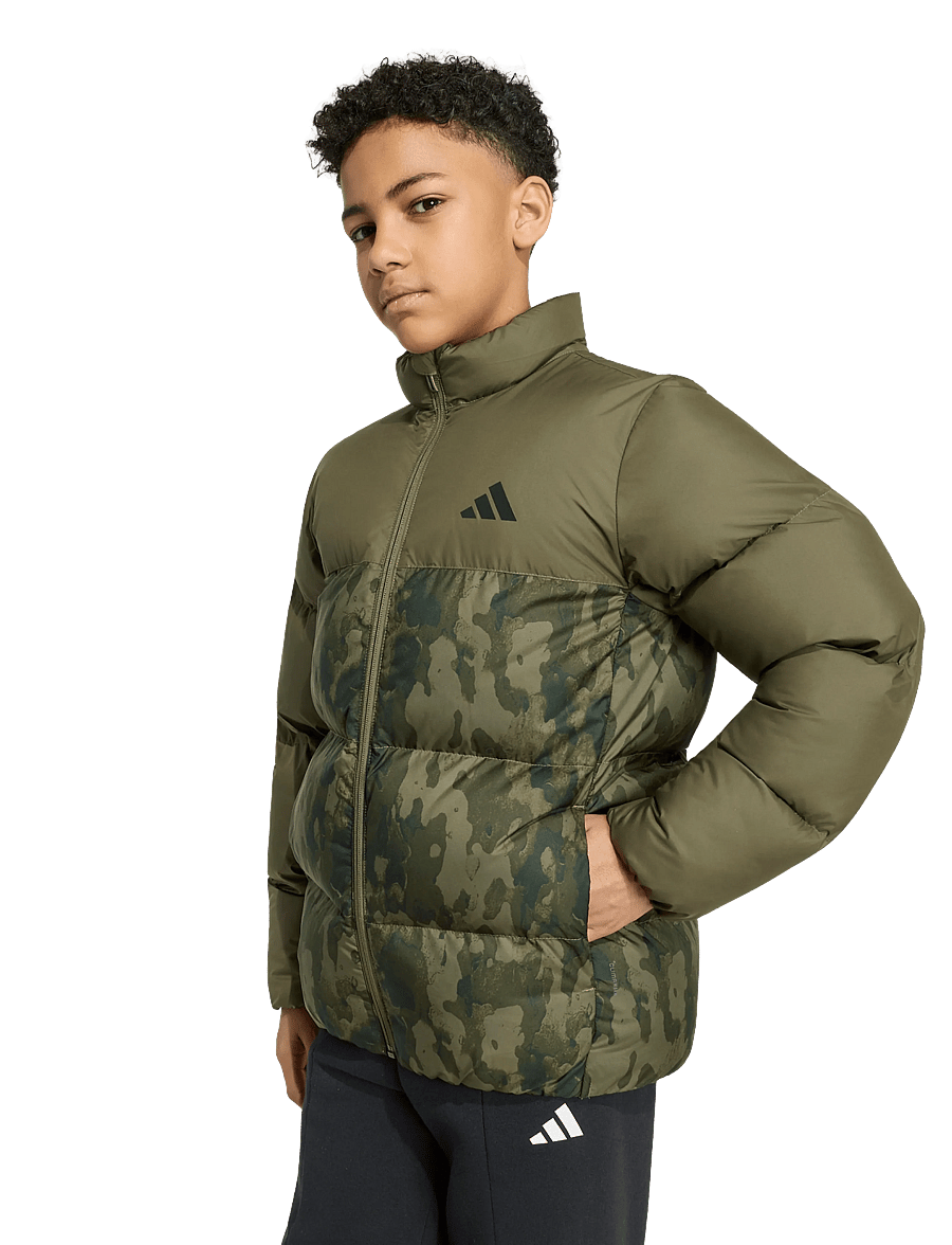 adidas Sportswear - J SD AOP JKT - isolierte jacken - olistr/ngtcar/junink/ - 2