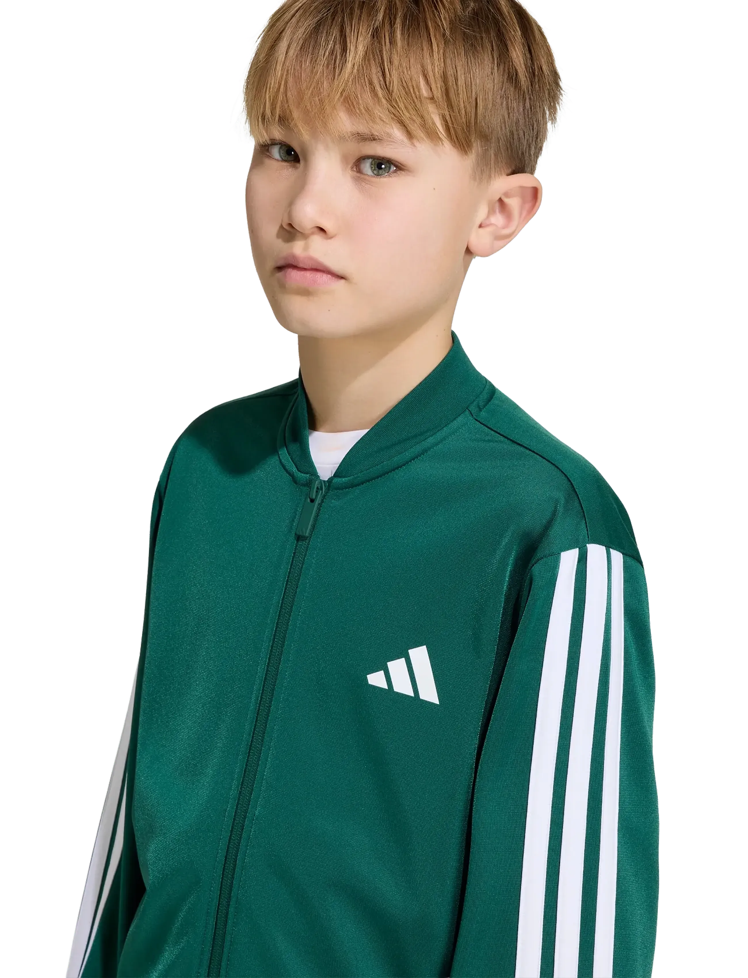 adidas Sportswear - J 3S FZ TR TT - sweatshirts - cgreen/white - 5