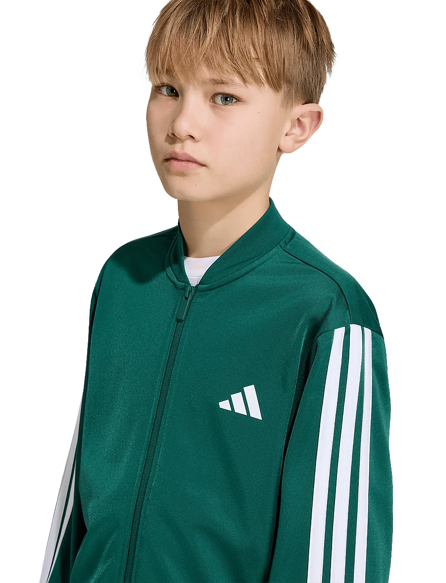 adidas Sportswear - J 3S FZ TR TT - sweatshirts - cgreen/white - 5