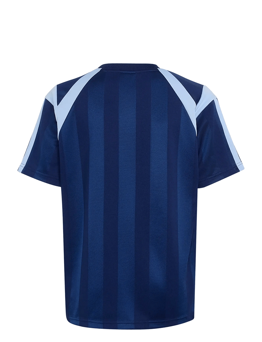 adidas Sportswear - J HOT TEE - sportoberteile - dkblue/globlu - 1
