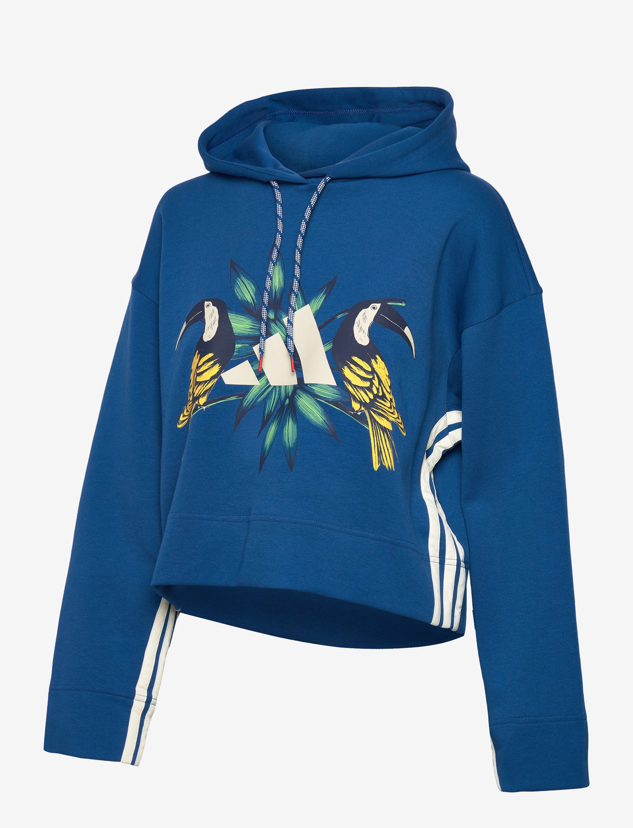 adidas Sportswear - FARM HOODIE - kapuutsiga dressipluusid - dmarin/crewht - 1