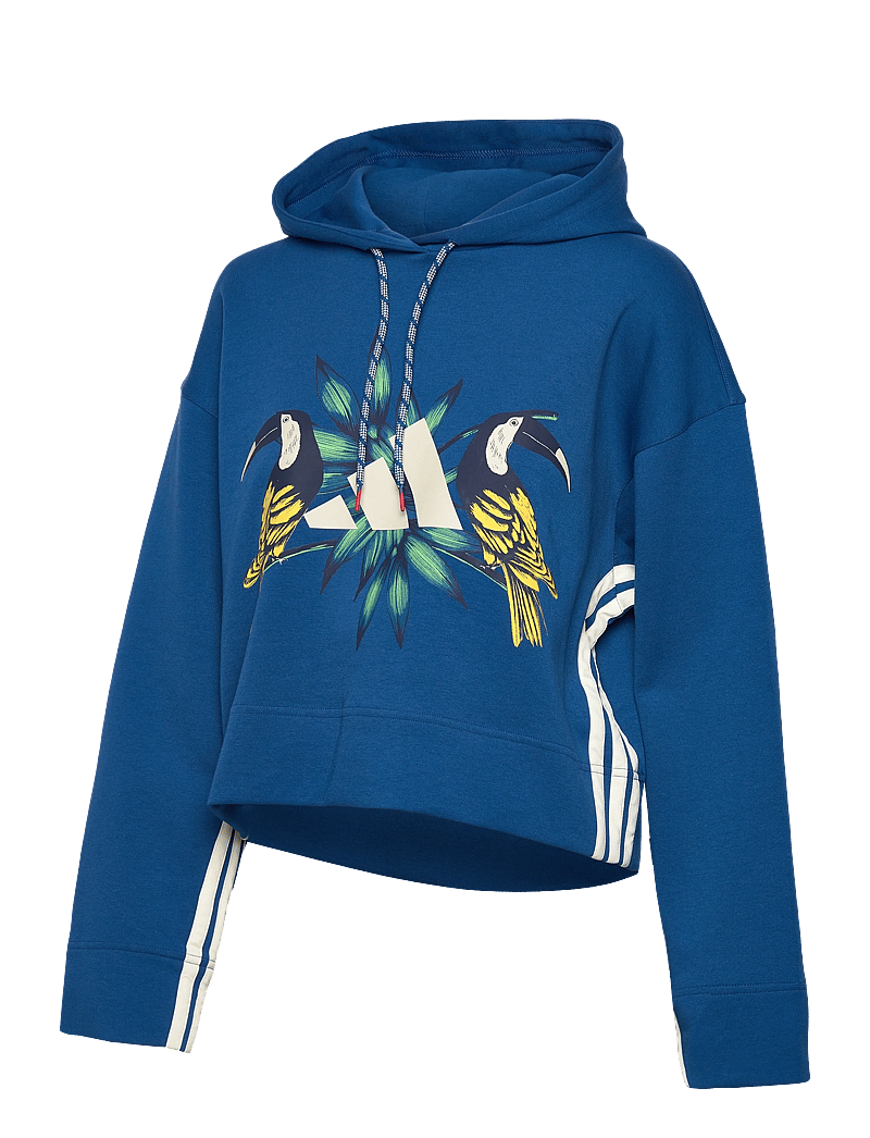 adidas Sportswear - FARM HOODIE - kapuutsiga dressipluusid - dmarin/crewht - 1