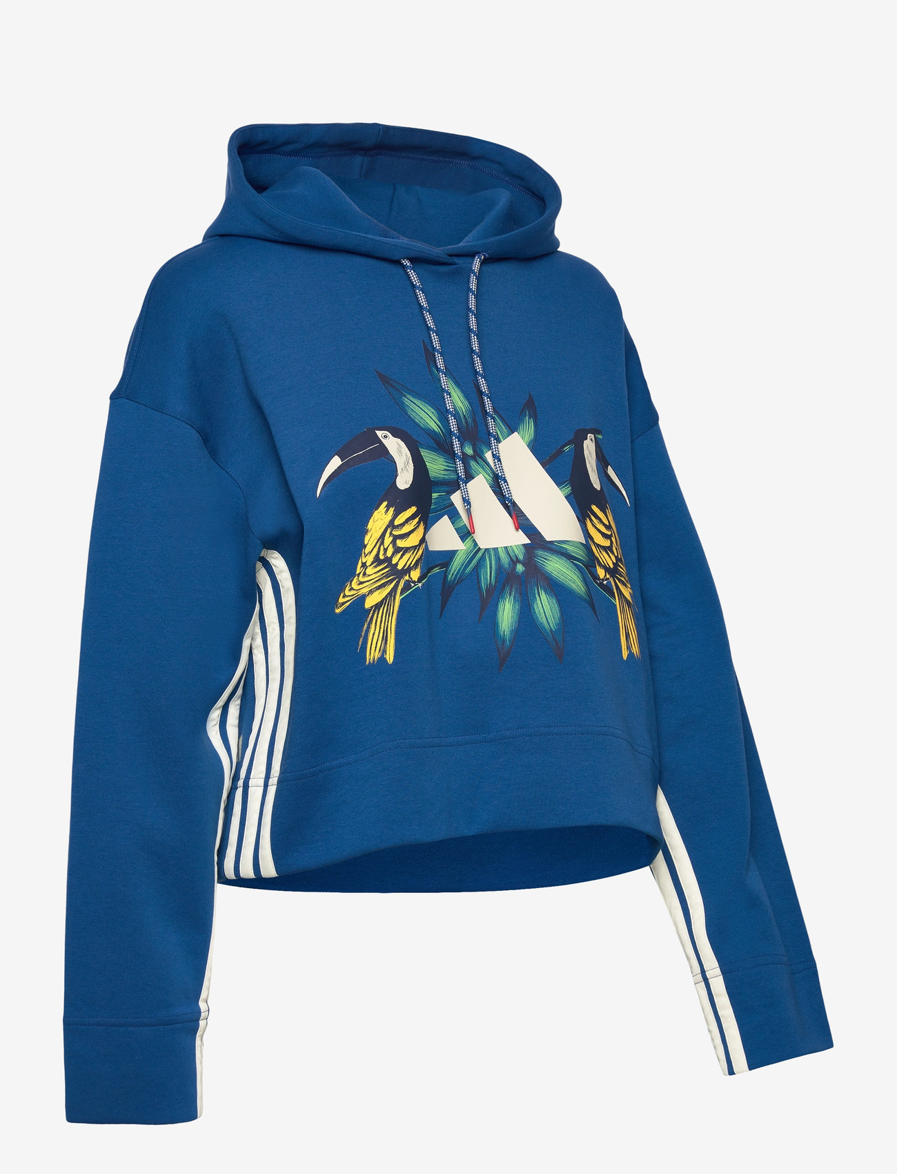 adidas Sportswear - FARM HOODIE - kapuutsiga dressipluusid - dmarin/crewht - 2