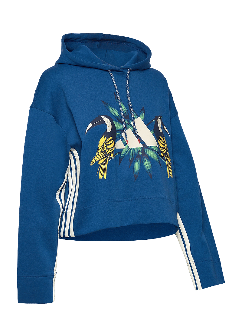 adidas Sportswear - FARM HOODIE - kapuutsiga dressipluusid - dmarin/crewht - 2