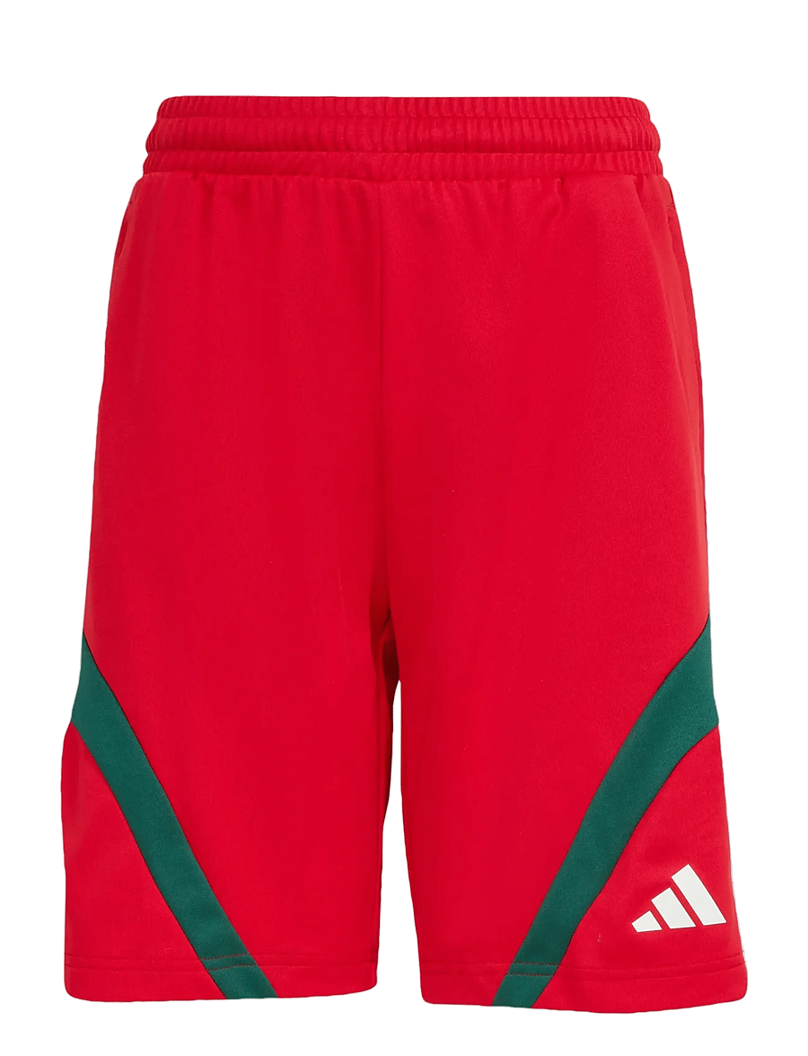 adidas Sportswear - J HOT SHO - sport-shorts - betsca/white/drkgrn - 1