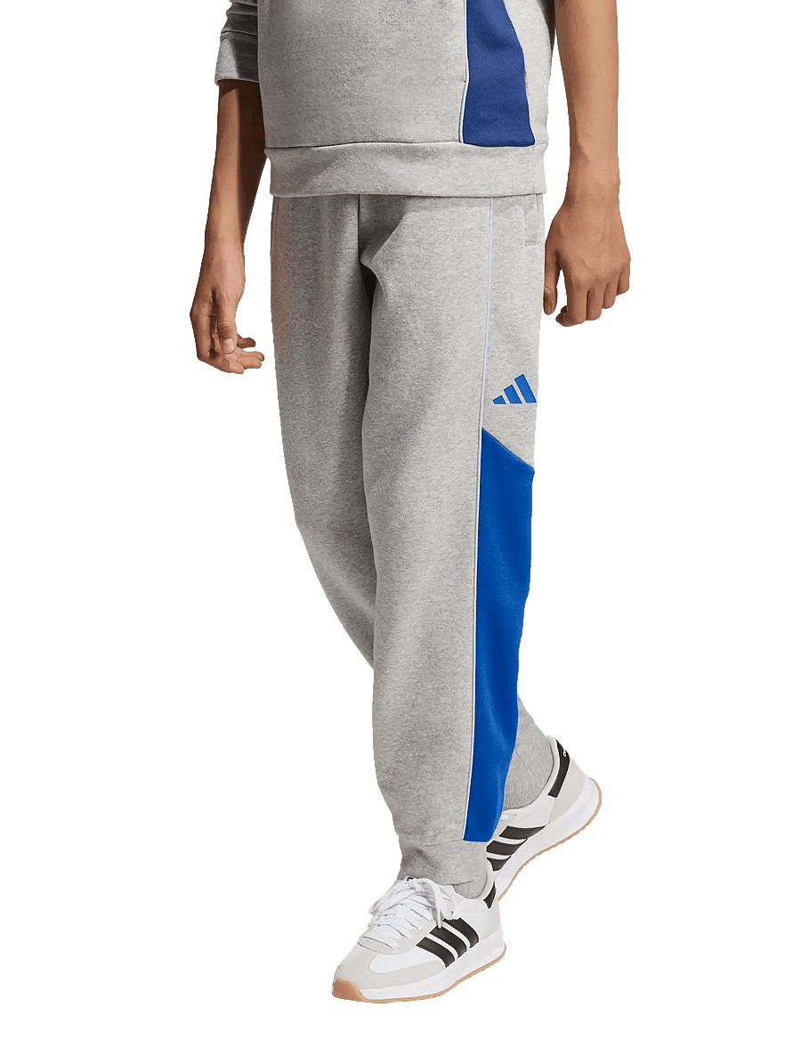 adidas Sportswear - J CB FL PT - dressipüksid - mgreyh/royblu/globlu - 5