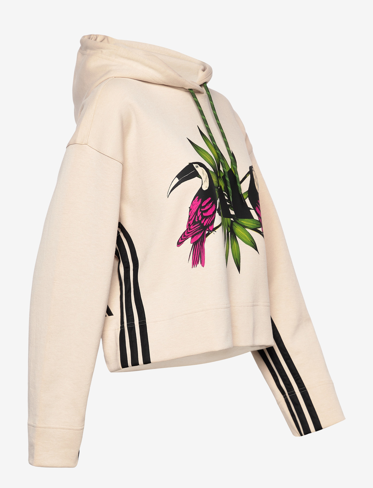 adidas Sportswear - FARM HOODIE - kapuzenpullover - crli/black - 2