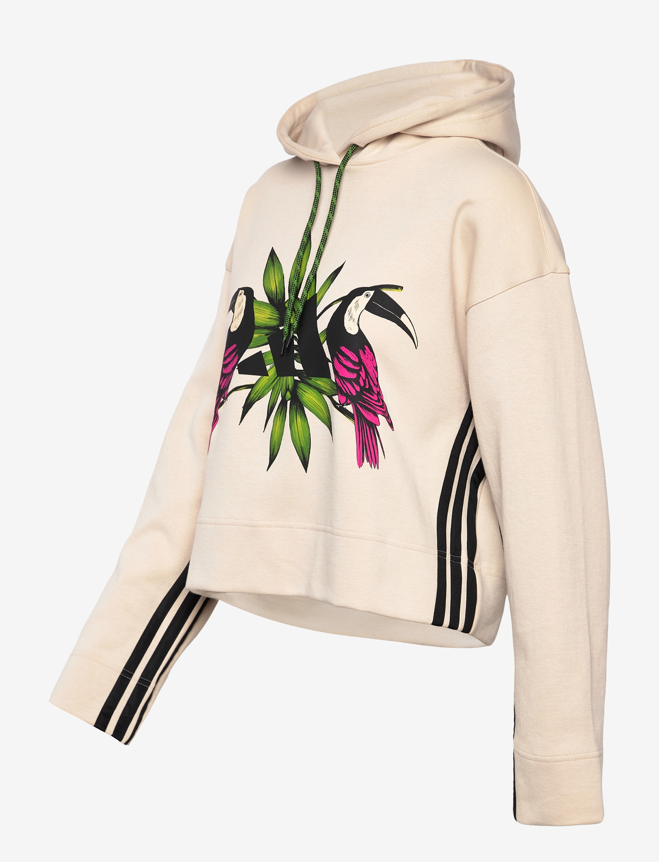 adidas Sportswear - FARM HOODIE - kapuzenpullover - crli/black - 3