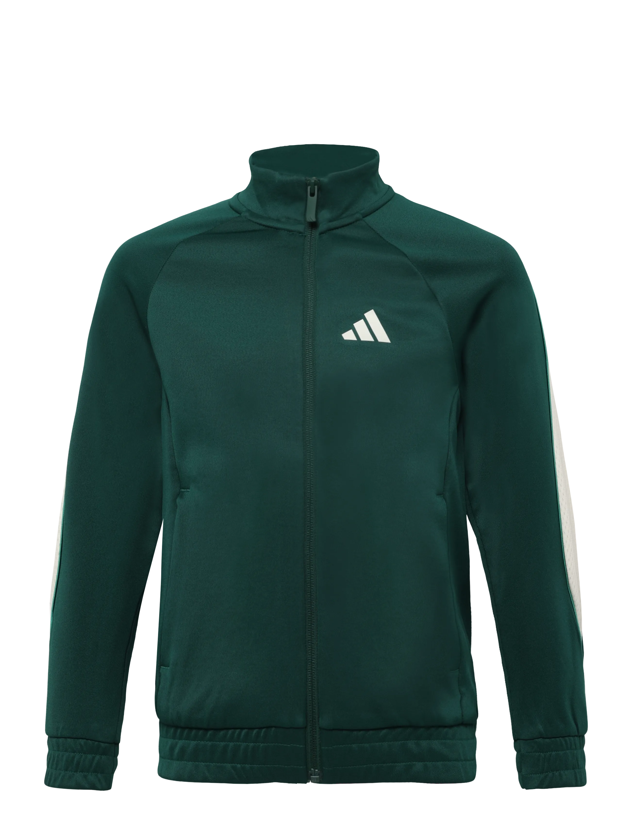 adidas Sportswear J STD TRCK JKT - Vaata kõiki - CGREEN/IVORY / green