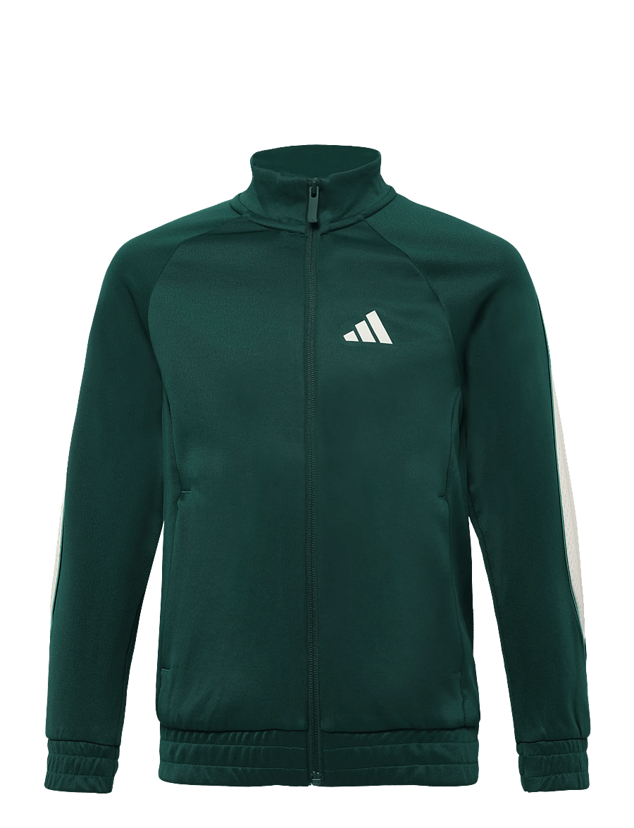 adidas Sportswear - J STD TRCK JKT - dressipluusid - cgreen/ivory - 0