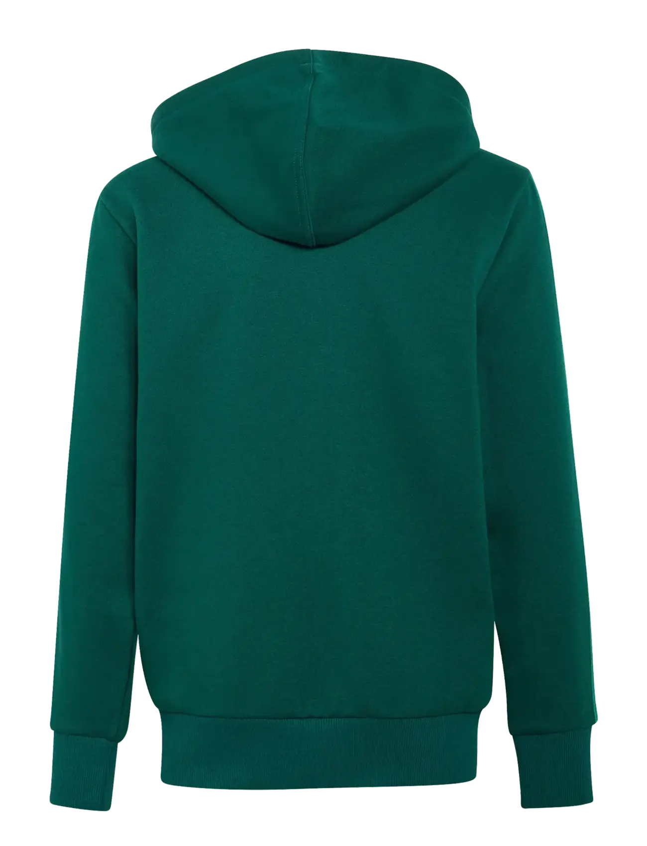 adidas Sportswear - J 3S TIB FL TS - pikkade varrukatega t-särkide komplektid - cgreen/cougrn/white - 1