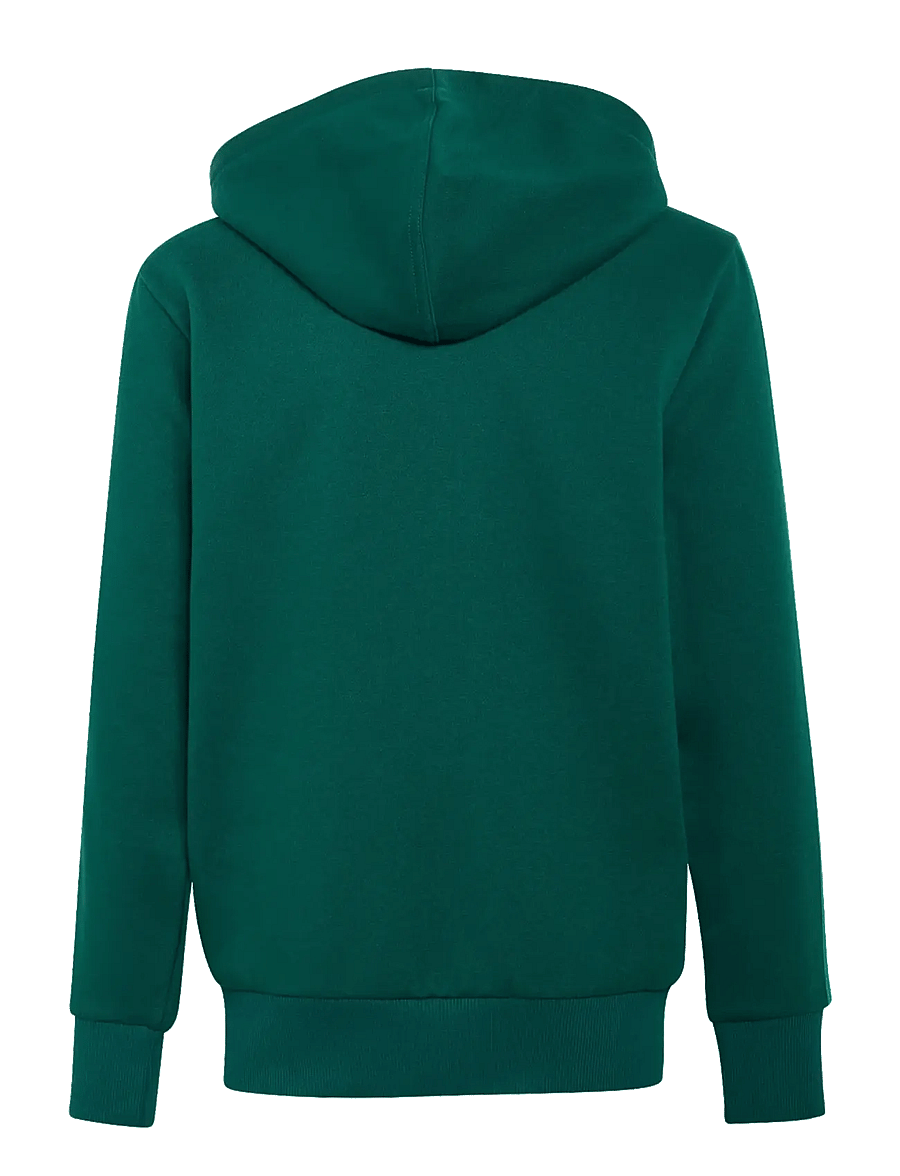 adidas Sportswear - J 3S TIB FL TS - pikkade varrukatega t-särkide komplektid - cgreen/cougrn/white - 1