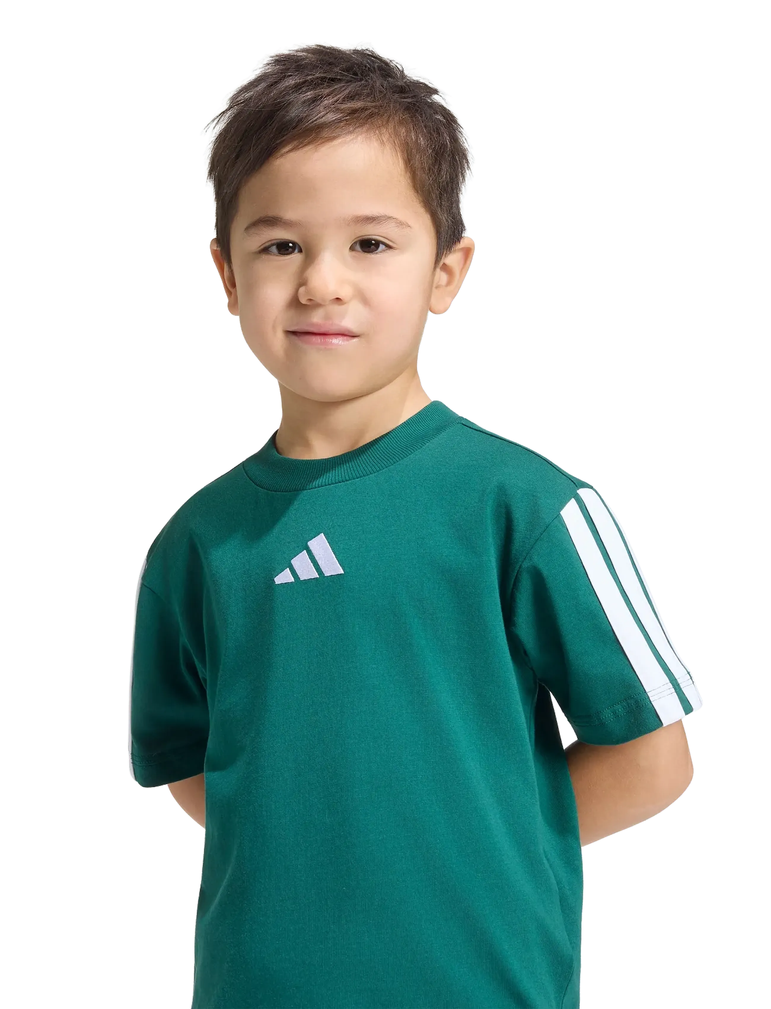 adidas Sportswear - LK 3S TEE 160 - short-sleeved t-shirts - cgreen/white - 5