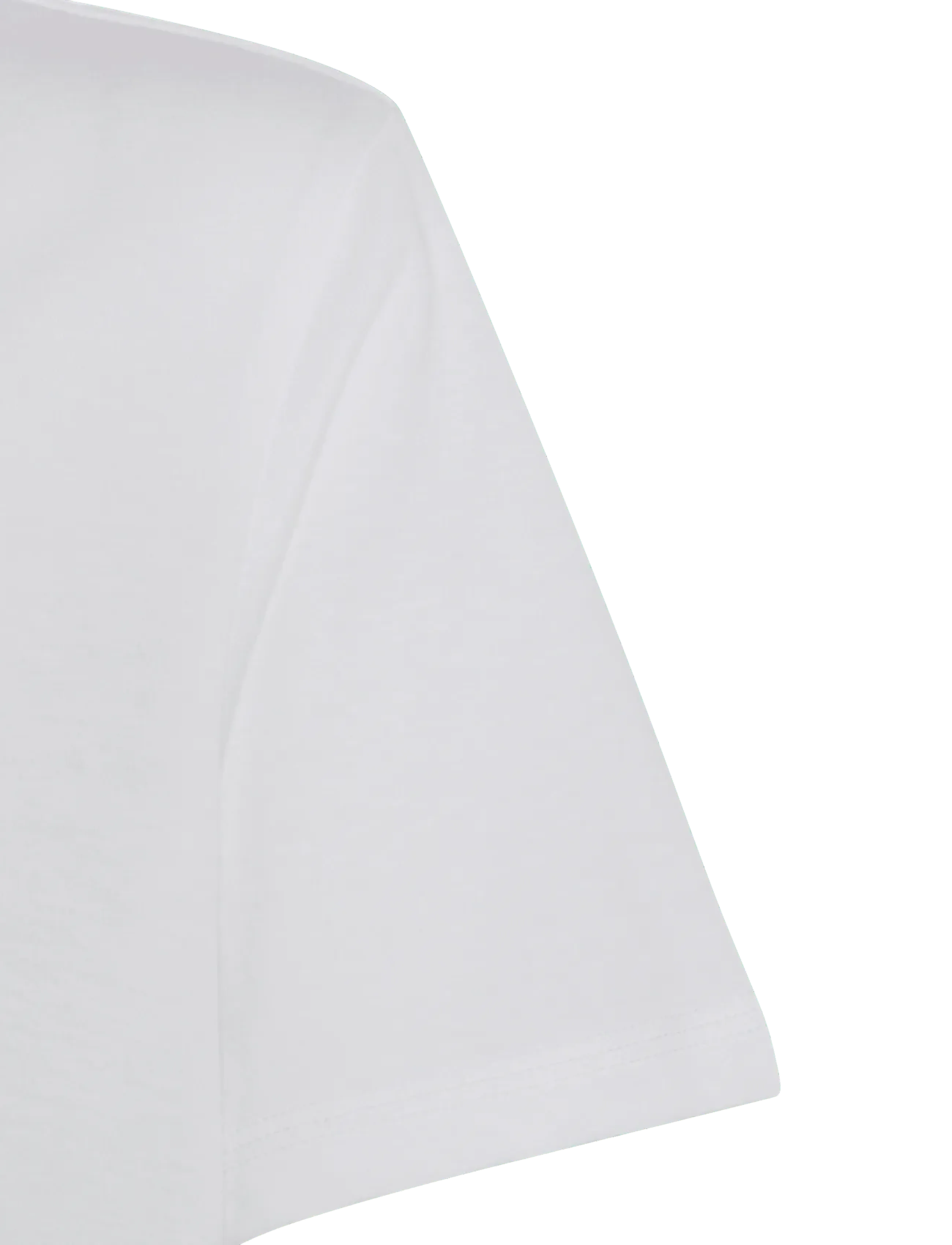 adidas Sportswear - J BL TEE 160 - sportstoppe - white/clemin/cougrn/c - 2