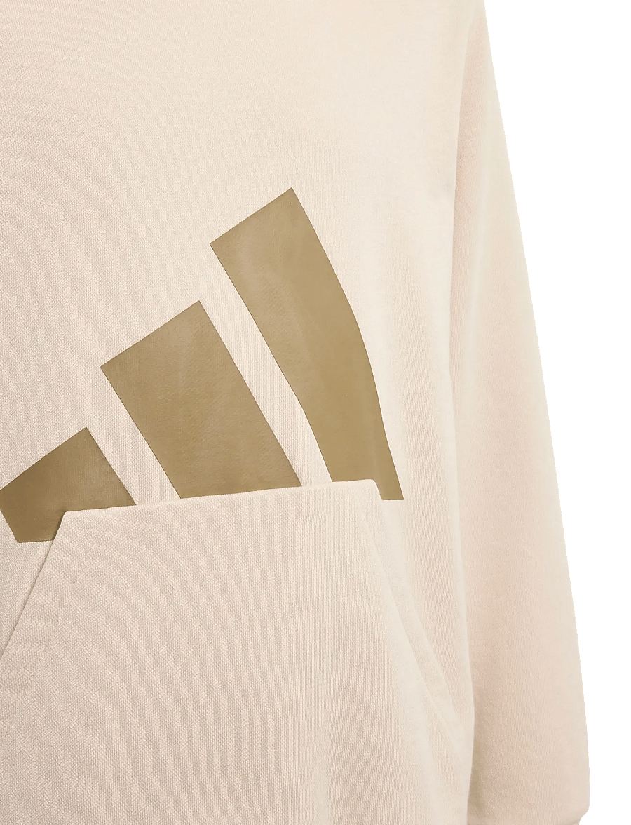 adidas Sportswear - J BL FT HD 280 - kapuutsiga dressipluusid - crli/khasix - 2