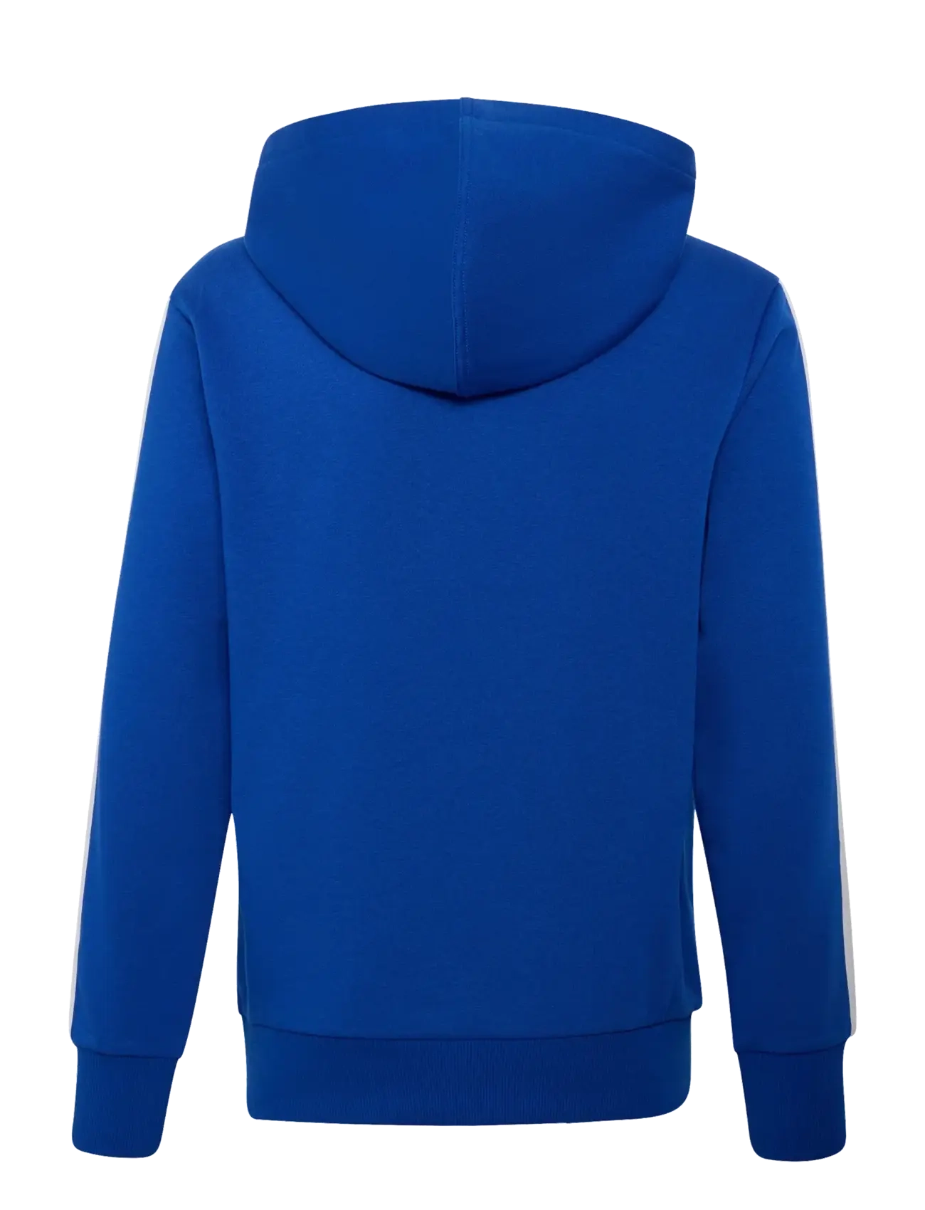adidas Sportswear - J 3S FL HD 225 - kapuutsiga dressipluusid - royblu/white - 1