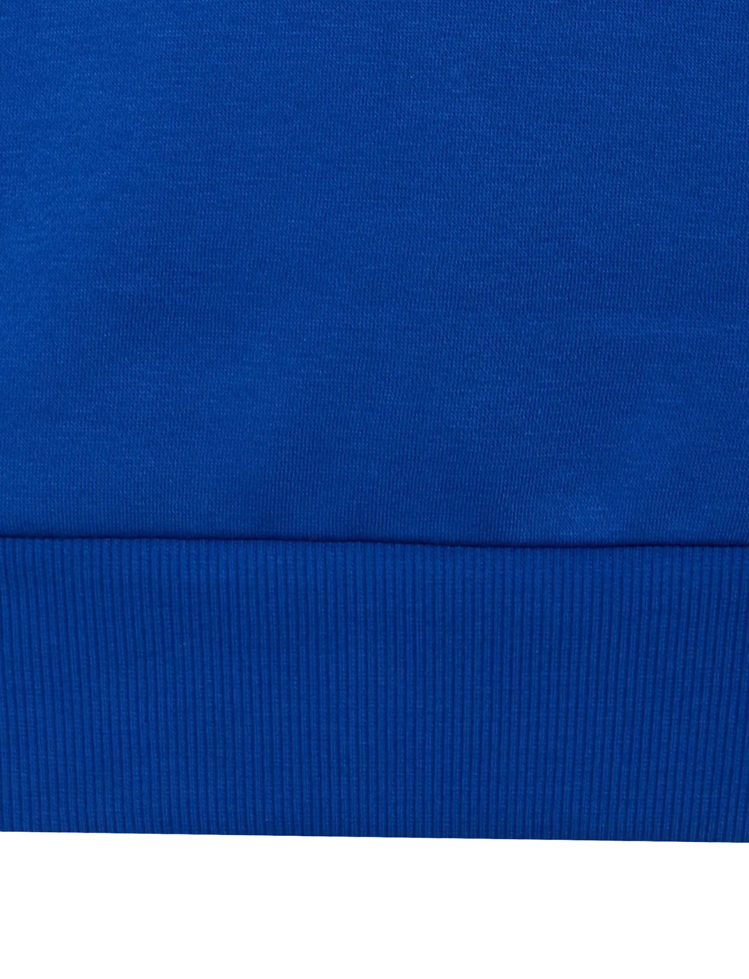 adidas Sportswear - J 3S FL HD 225 - kapuutsiga dressipluusid - royblu/white - 3