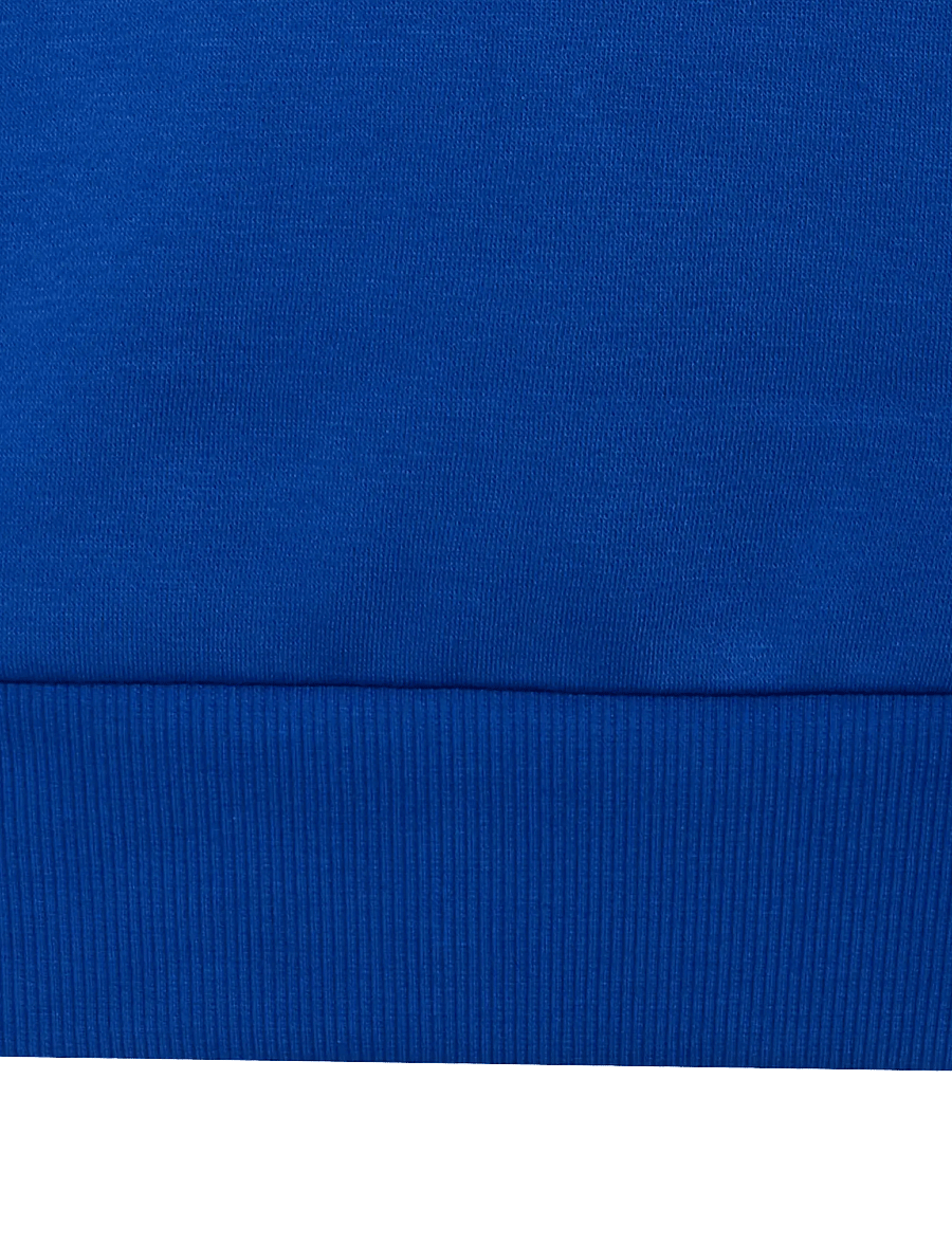 adidas Sportswear - J 3S FL HD 225 - kapuutsiga dressipluusid - royblu/white - 3