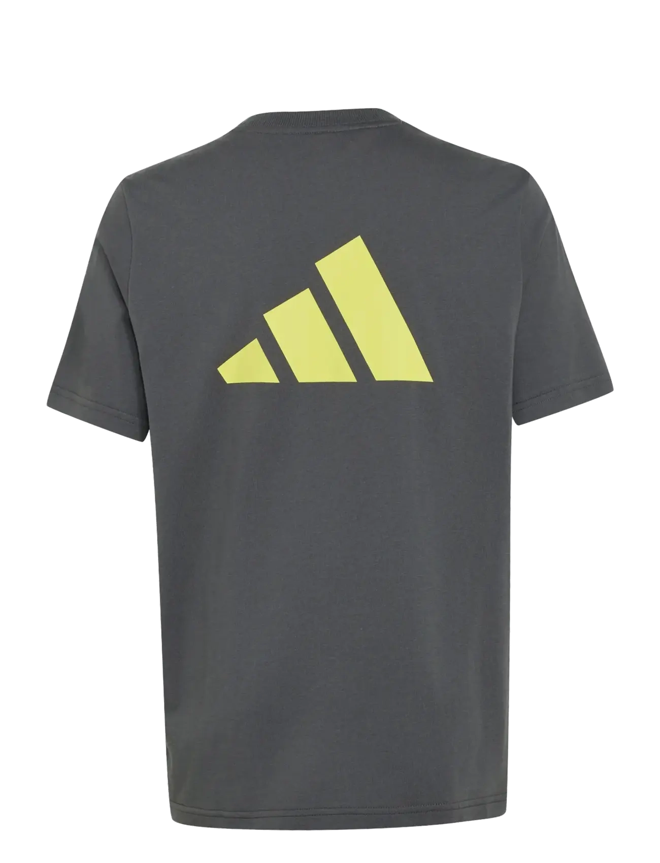 adidas Sportswear - J  CB T - lühikeste varrukatega t-särgid - grefiv/purlem/lgsogr - 1