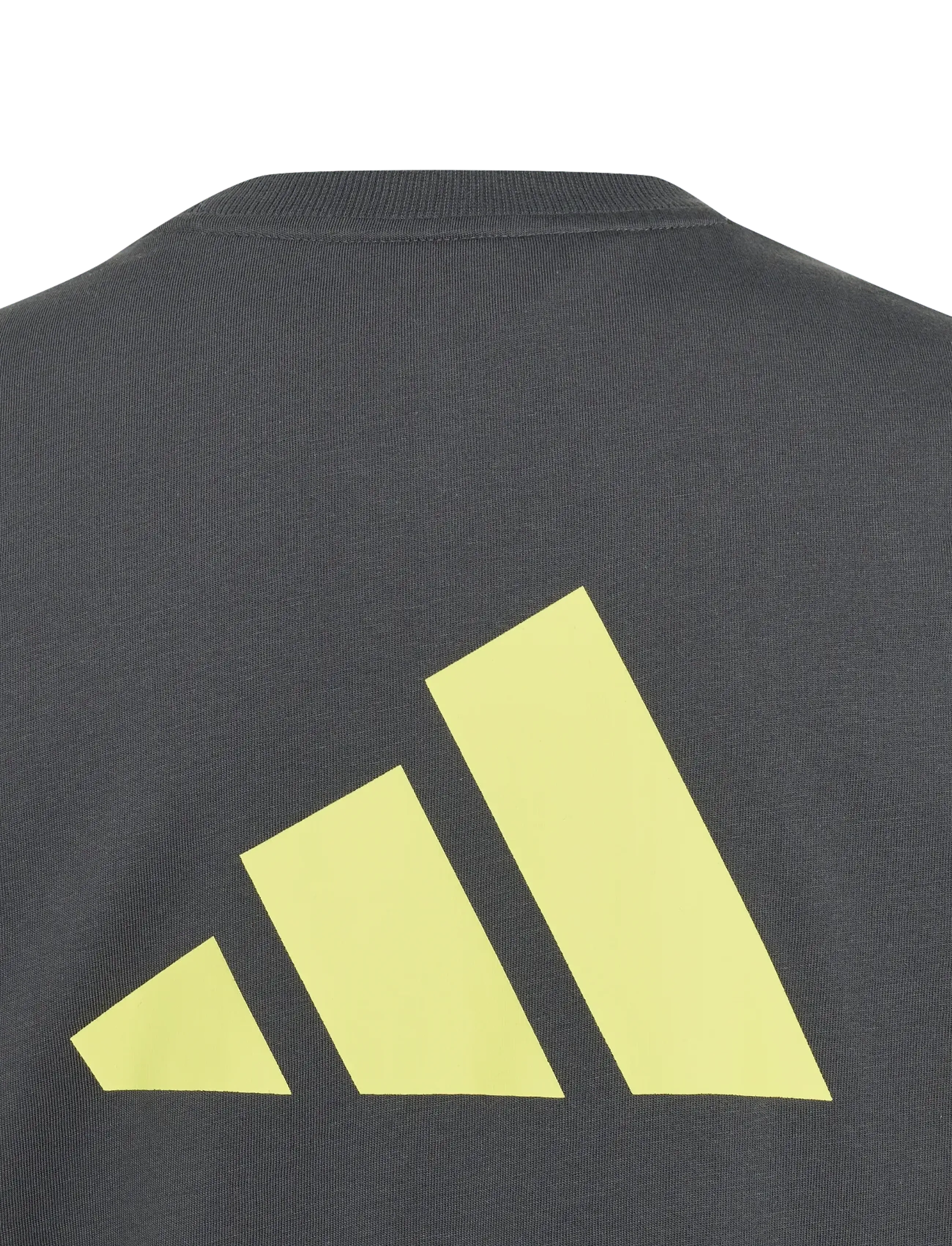 adidas Sportswear - J  CB T - lühikeste varrukatega t-särgid - grefiv/purlem/lgsogr - 3