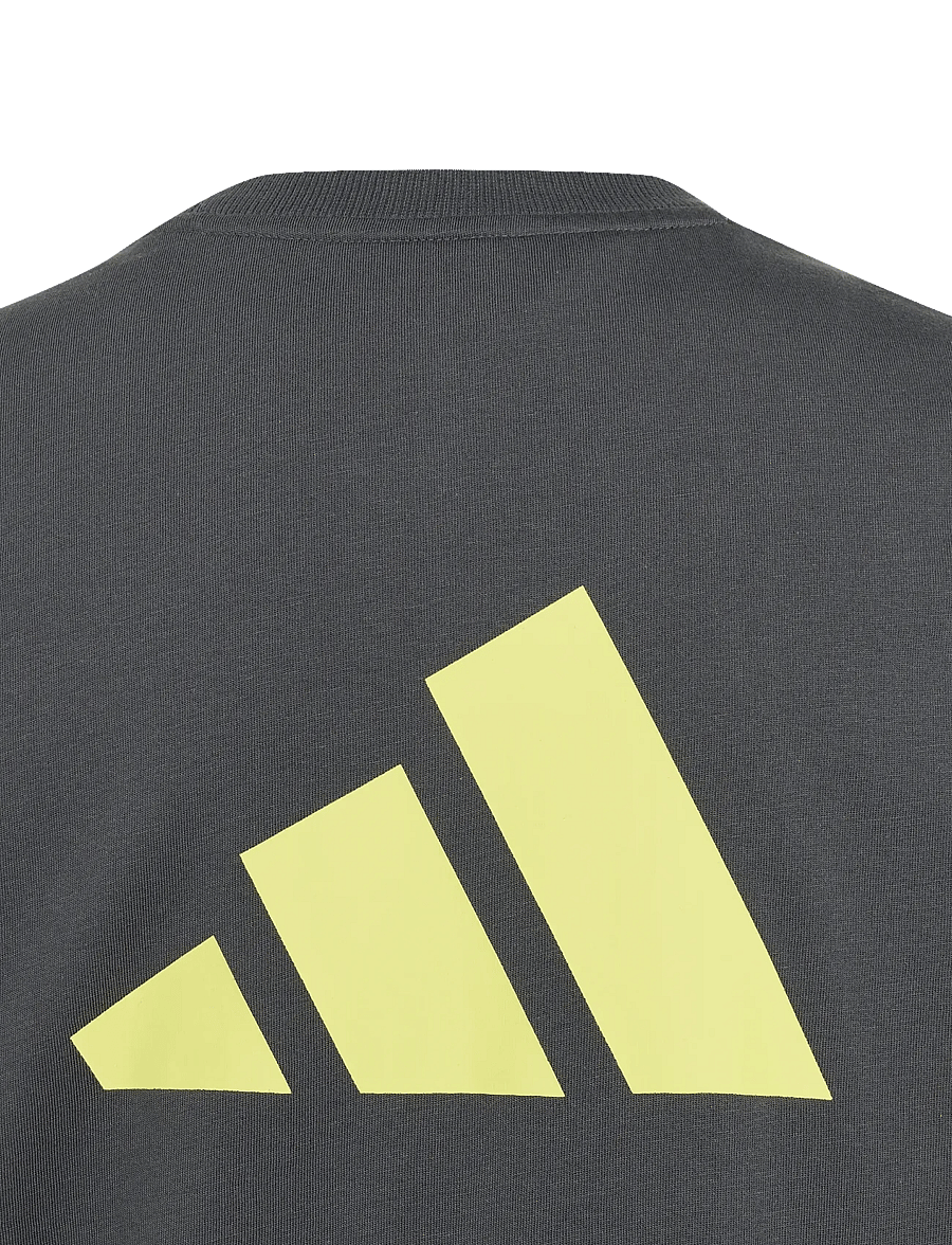 adidas Sportswear - J CB T - lühikeste varrukatega t-särgid - grefiv/purlem/lgsogr - 3