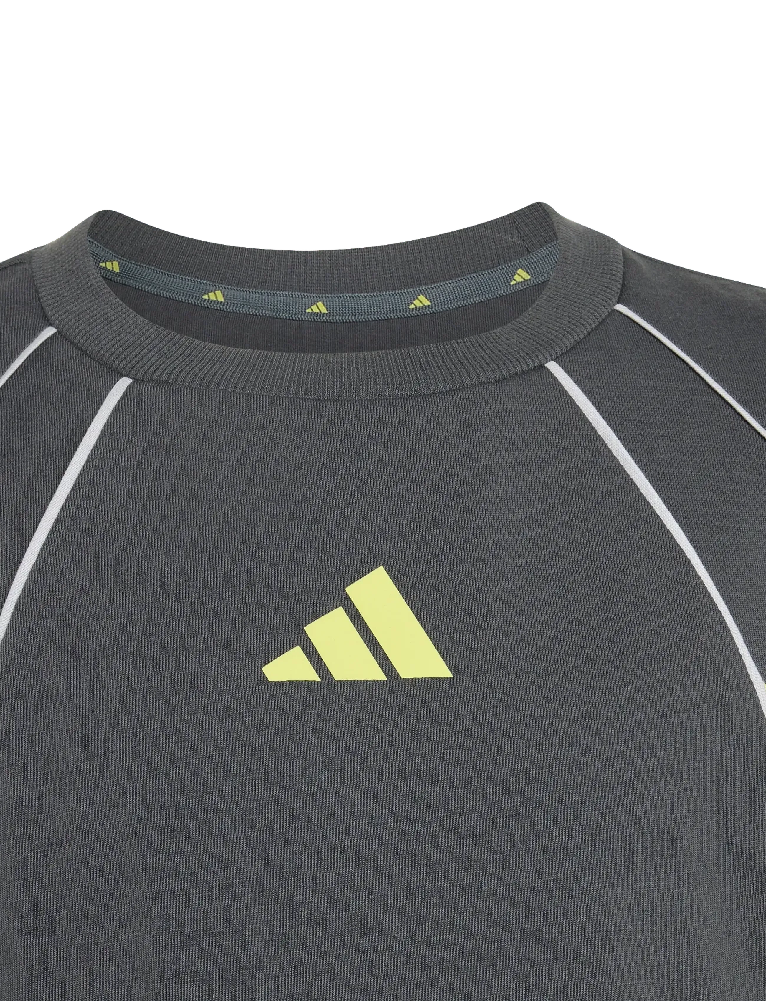 adidas Sportswear - J  CB T - lühikeste varrukatega t-särgid - grefiv/purlem/lgsogr - 4